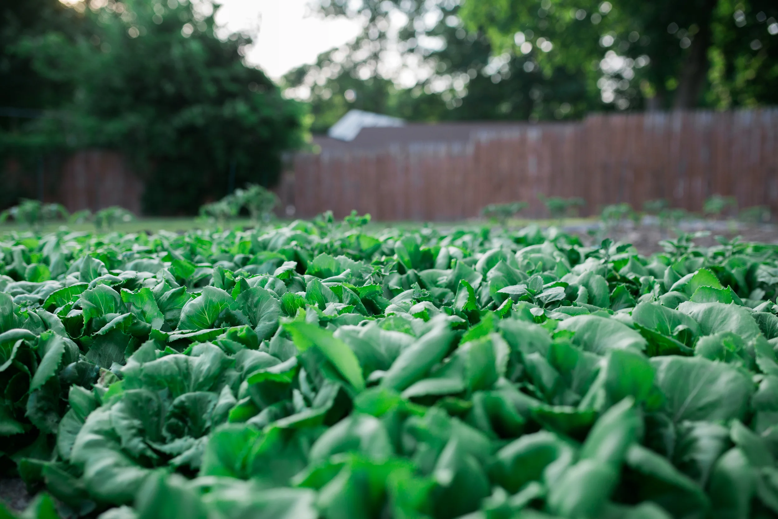 Mr + Mrs Lizewski-364.jpg