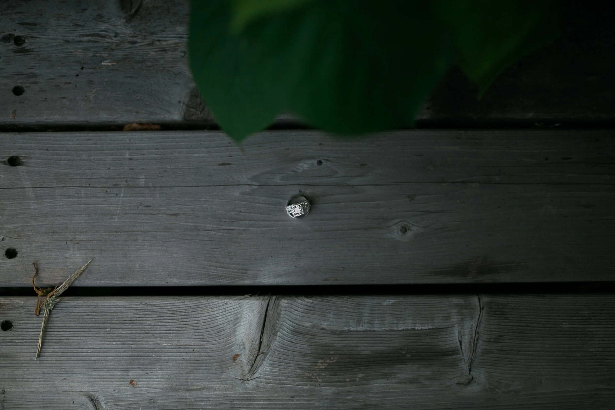 Hudson Valley Photographer Locust Grove Wedding Sweet Alice Photography 157.jpg