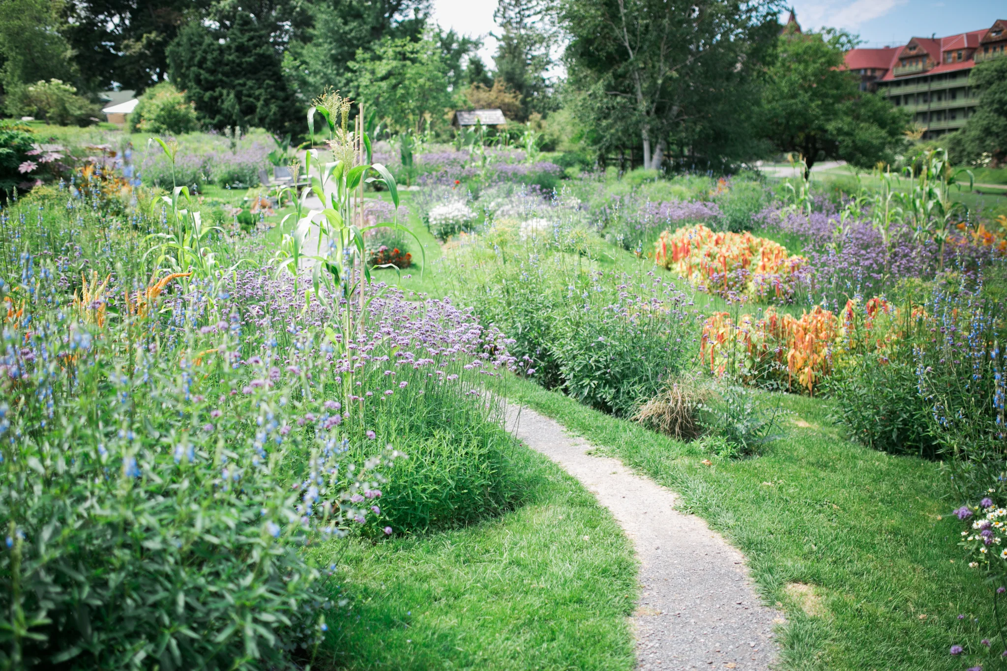 Hudson Valley Photographer Sweet Alice IG-1-48.jpg