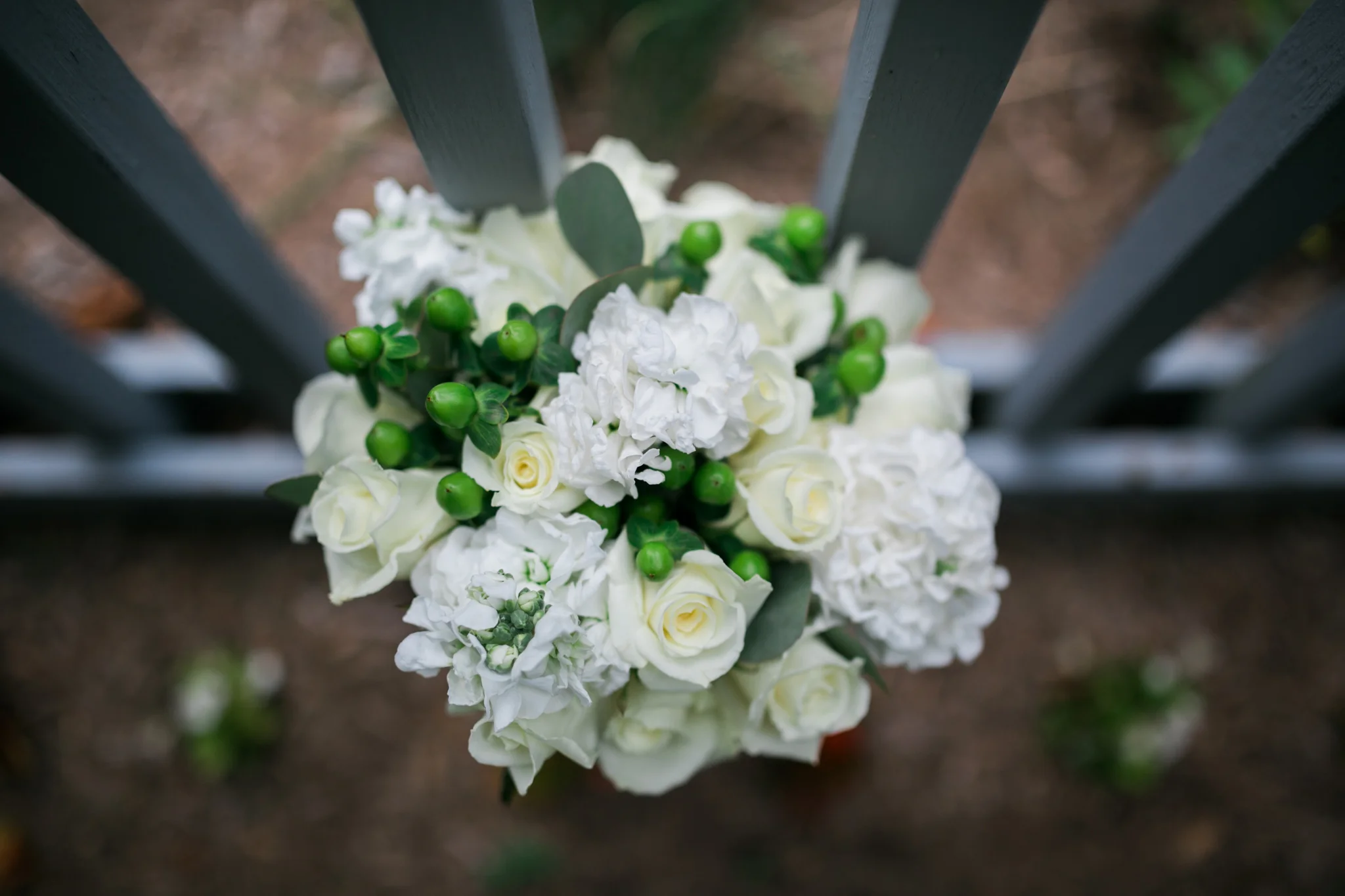 Hudson Valley Photographer Sweet Alice IG Blog-1.jpg