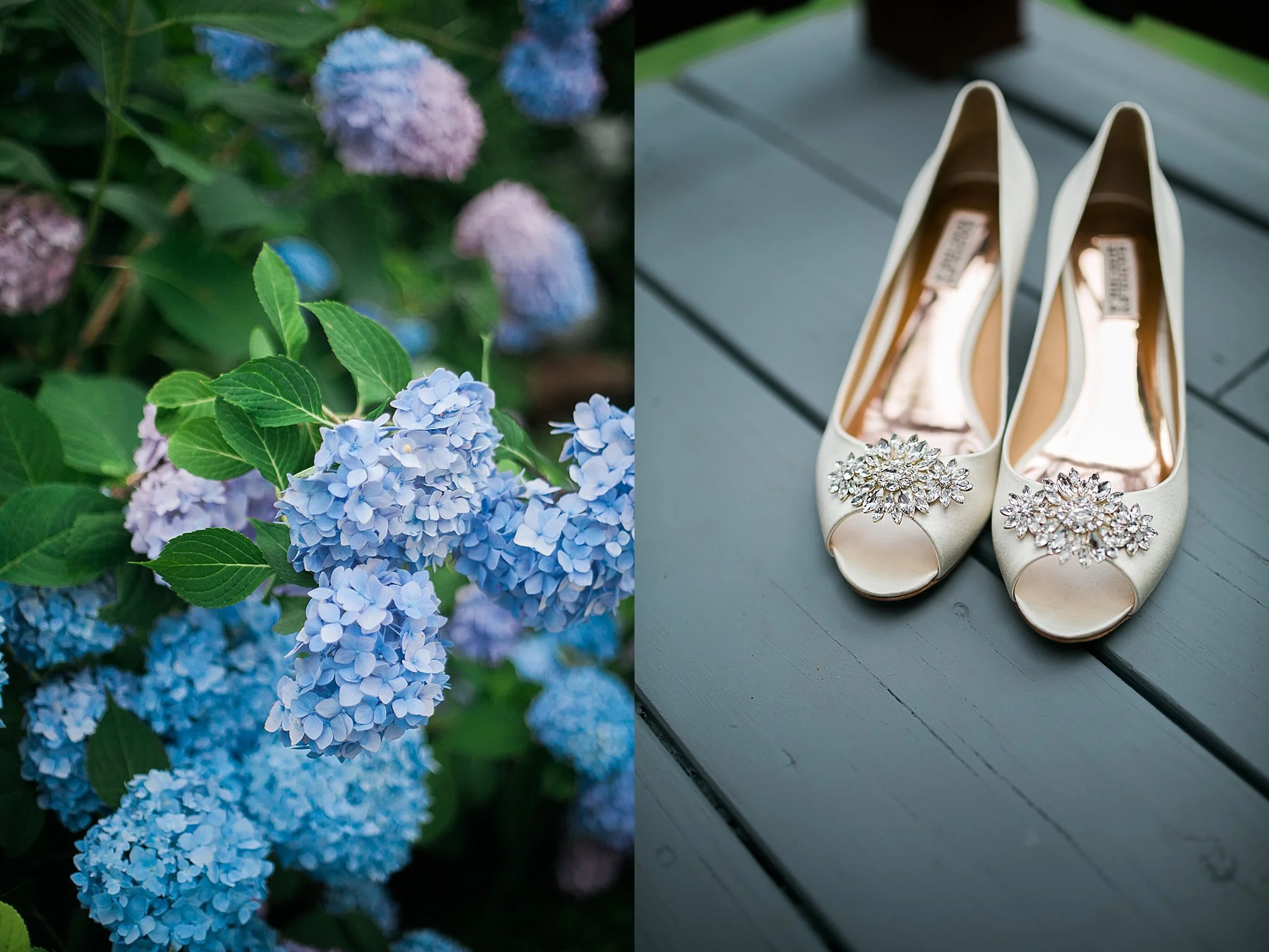 Mount Kisco Backyard Wedding Hudson Valley Photographer Sweet Alice Photography2.jpg