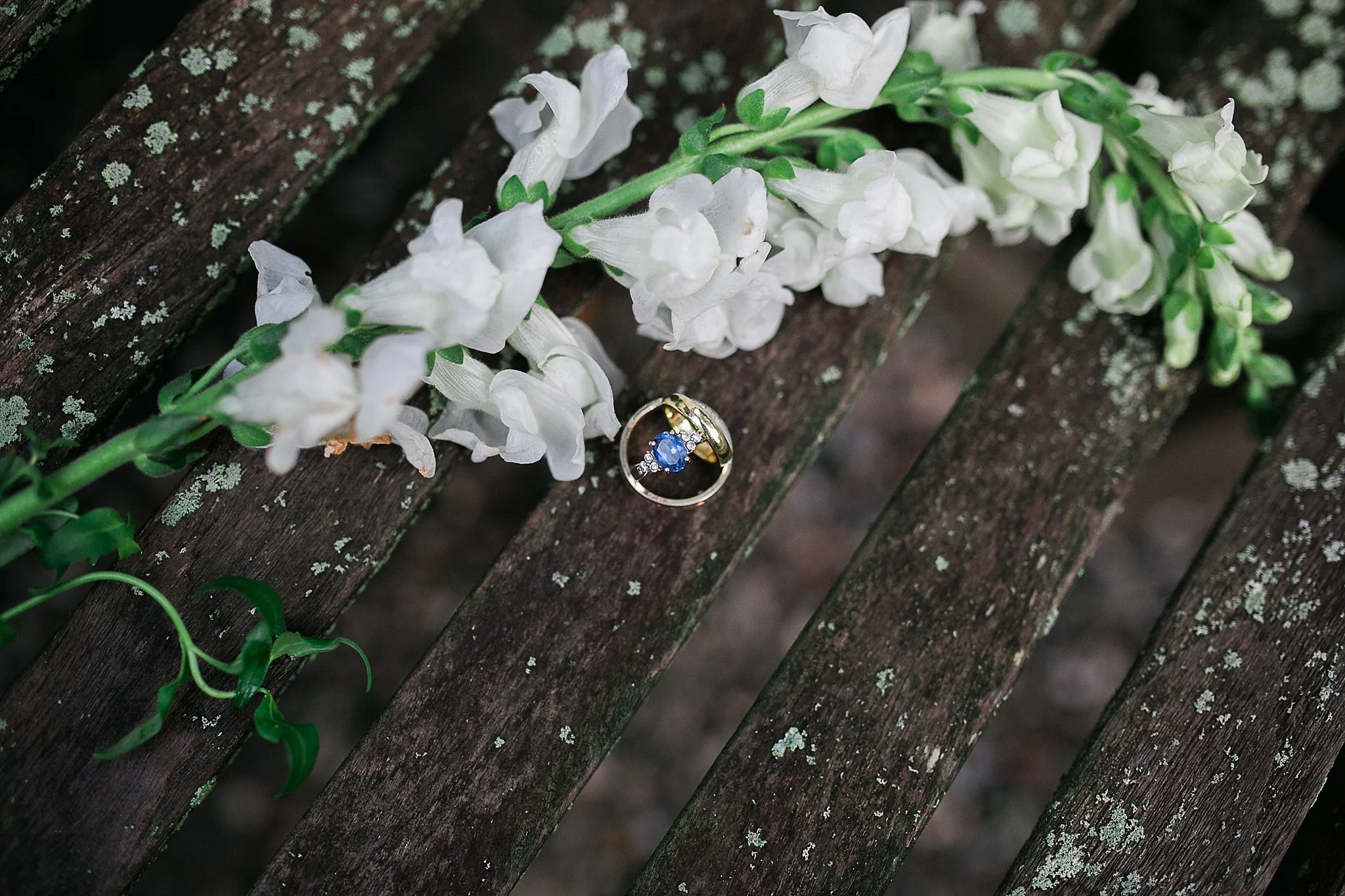 Mount Kisco Backyard Wedding Hudson Valley Photographer Sweet Alice Photography86.jpg