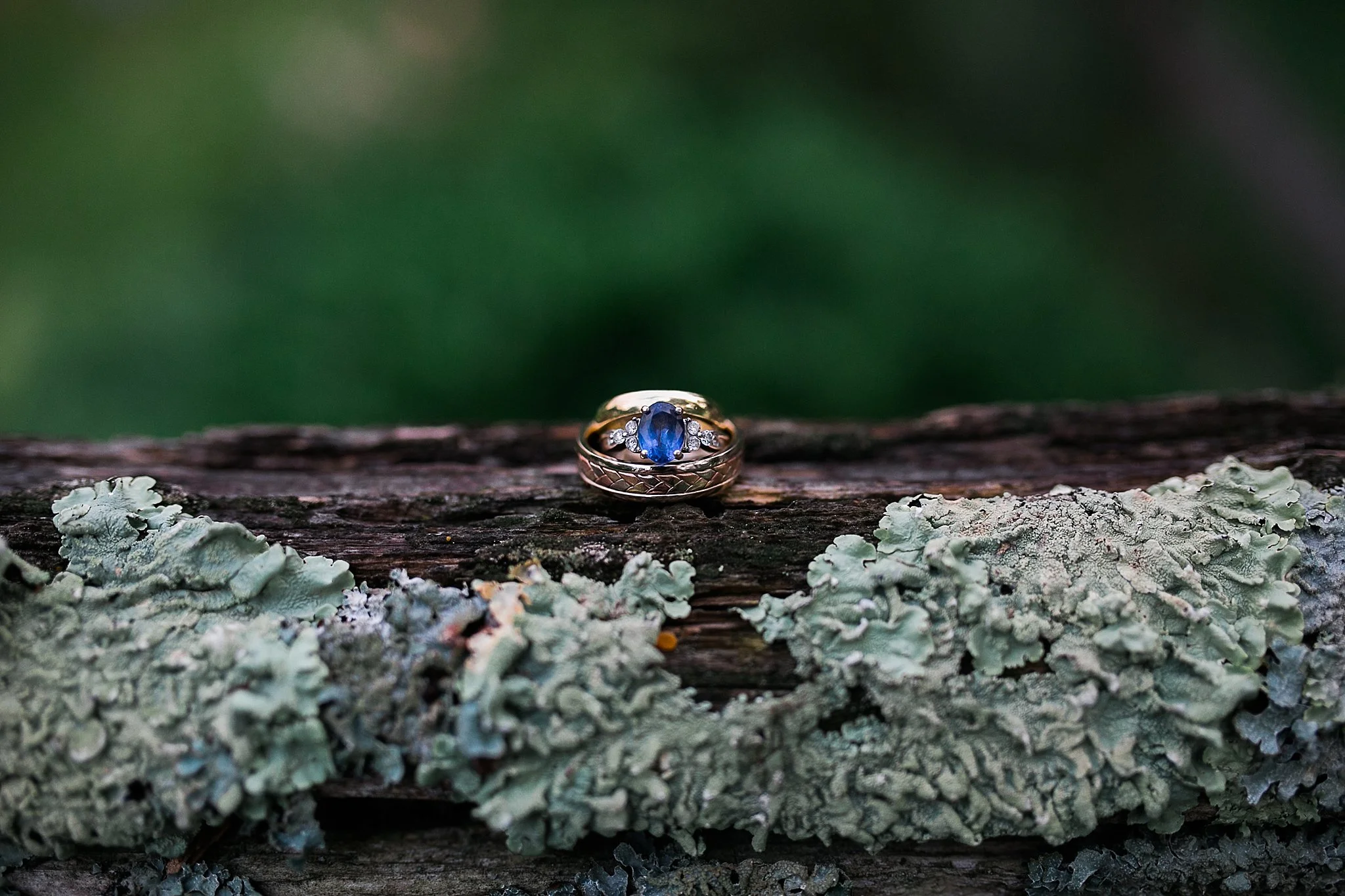 Mount Kisco Backyard Wedding Hudson Valley Photographer Sweet Alice Photography85.jpg