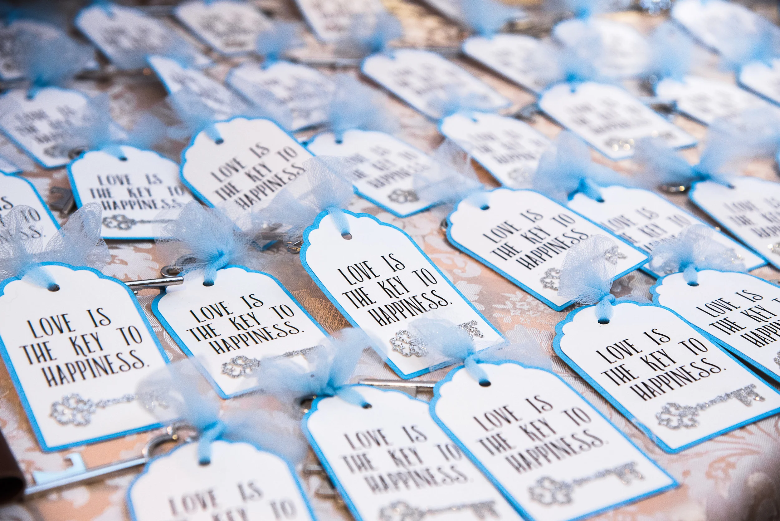 Disney Wedding New Jersey Sweet Alice Photography-1-105.jpg