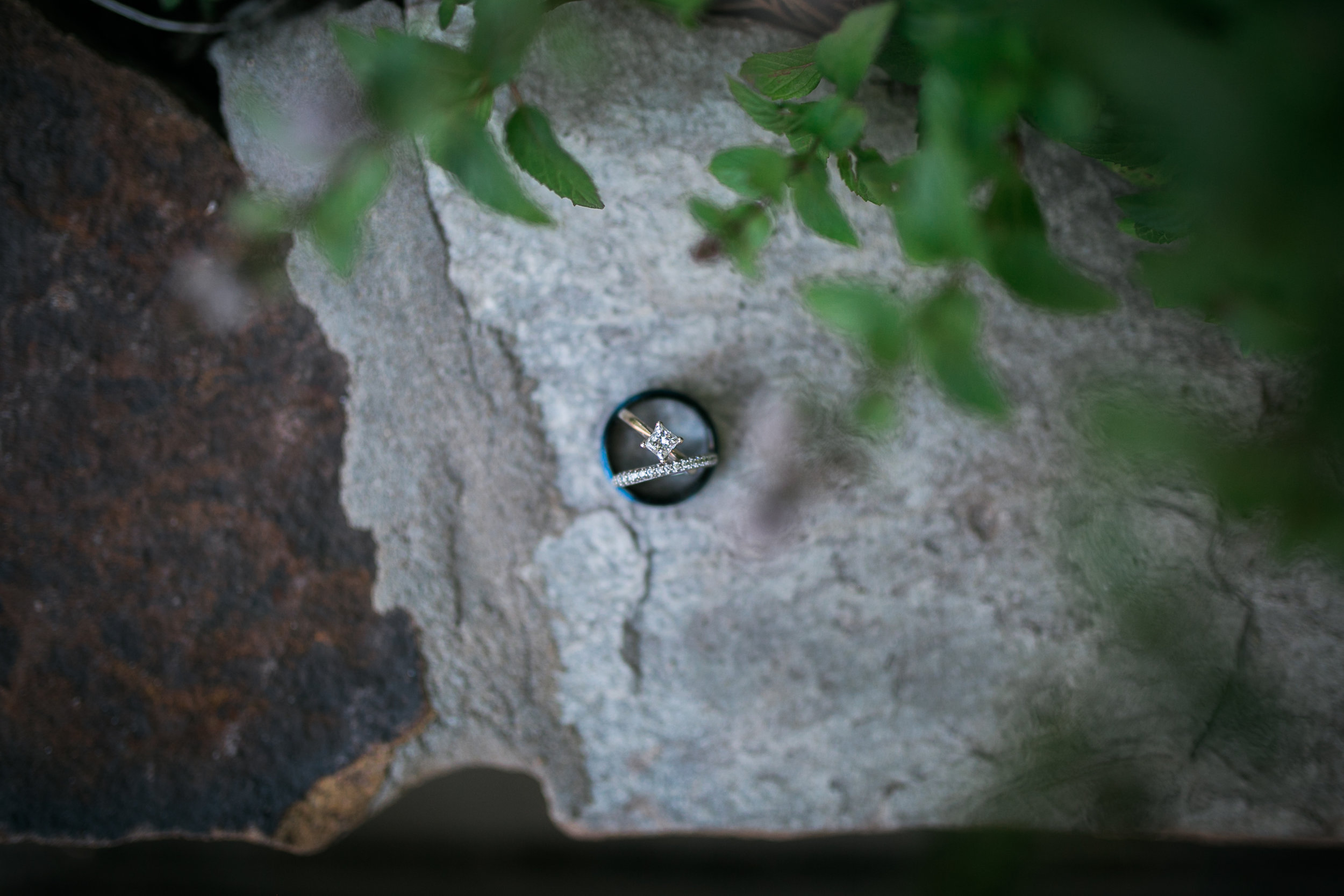 Disney Wedding New Jersey Sweet Alice Photography-1-90.jpg