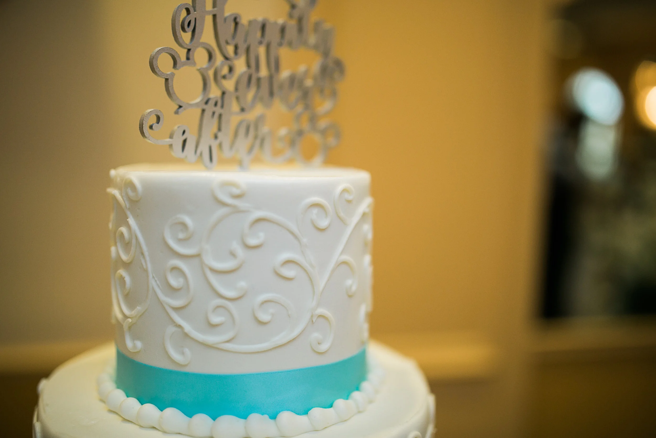 Disney Wedding New Jersey Sweet Alice Photography-1-72.jpg