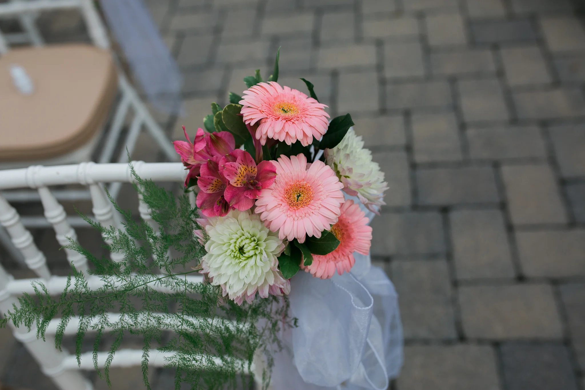 Sweet Alice Hudson Valley Photographer for Blog-1-6.jpg