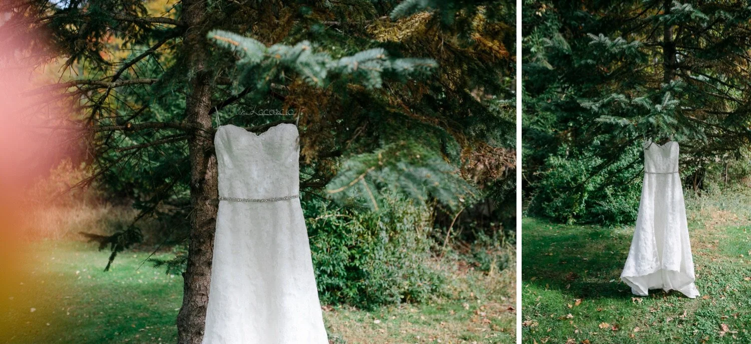 01_Wedding gown hanging in trees.jpg