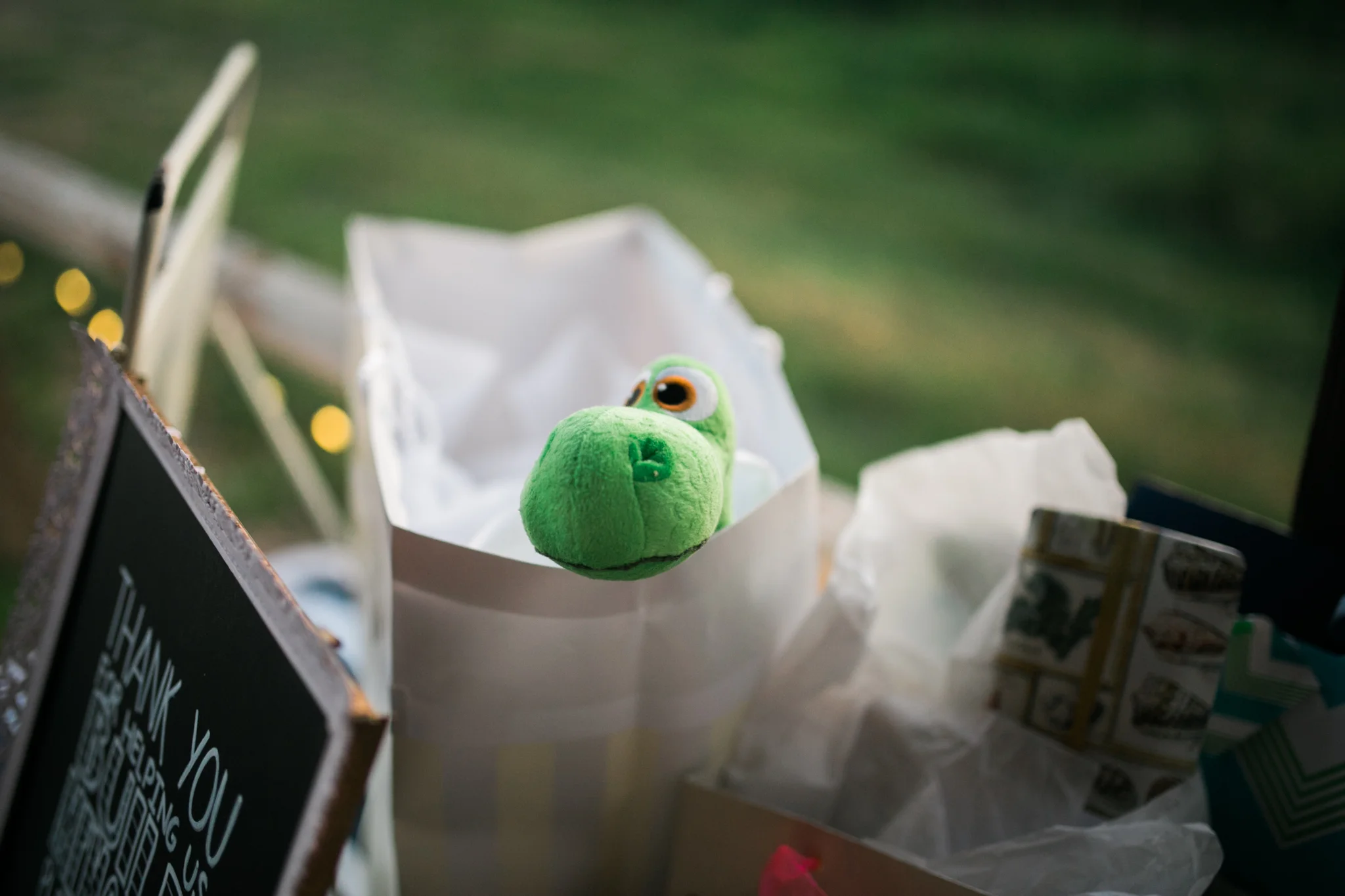 Hudson Valley Photographer Sweet Alice IG-1-68.jpg