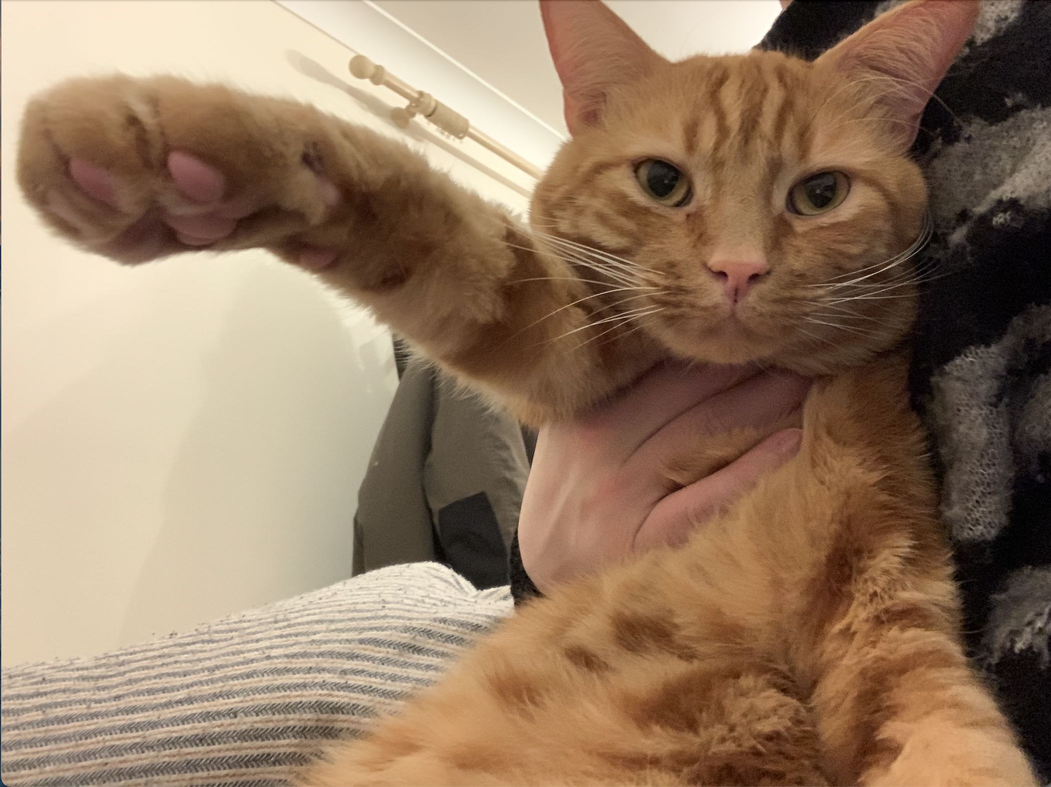 Screenshot 2024-02-12 at 19.33.20.png