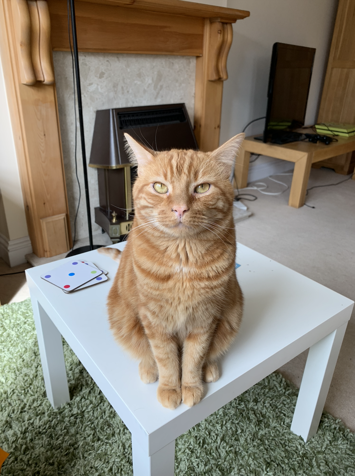 Screenshot 2024-02-12 at 19.37.09.png