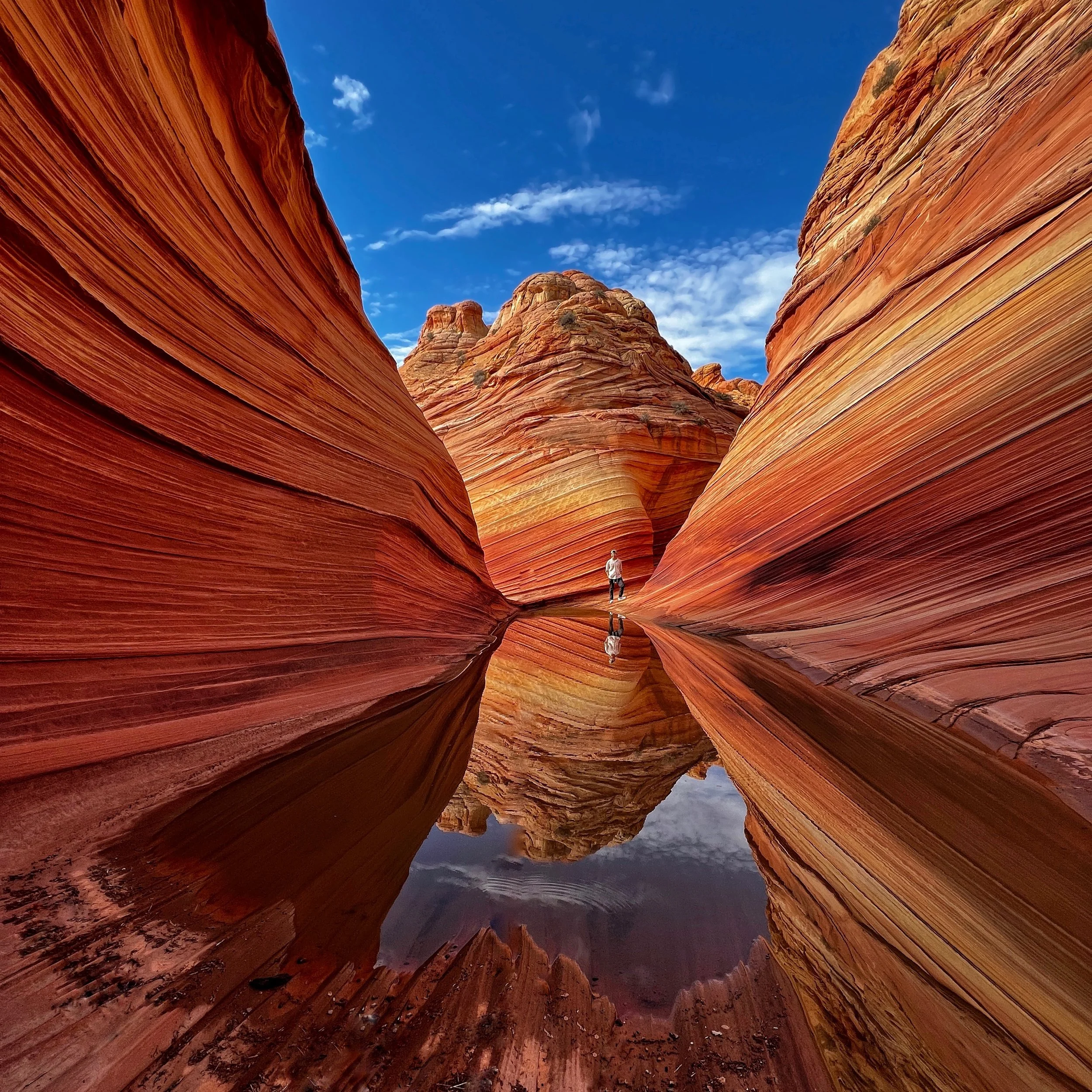 G1- The Wave reflection