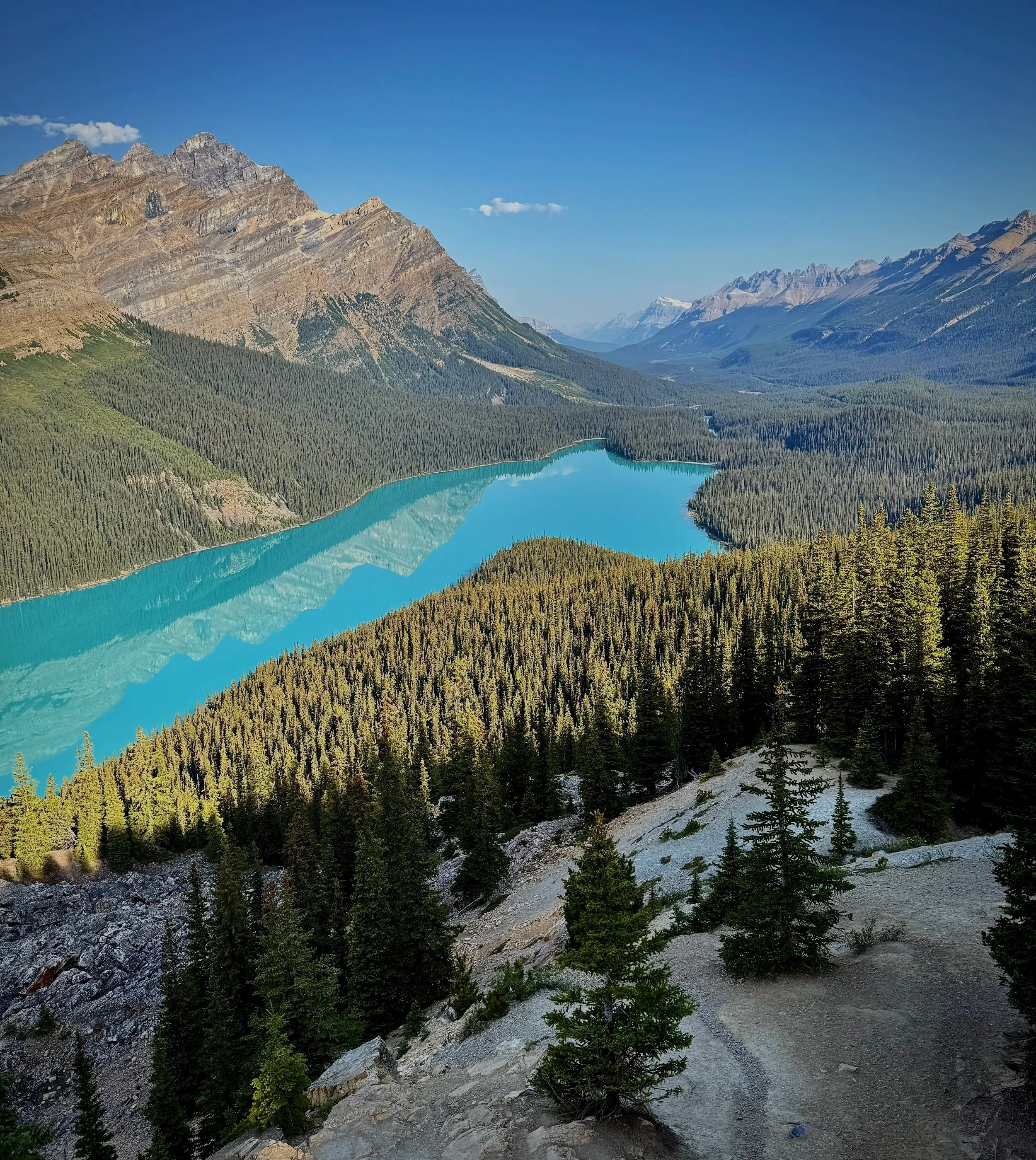 G1- Peyto Lake scene    Portrait orientation
