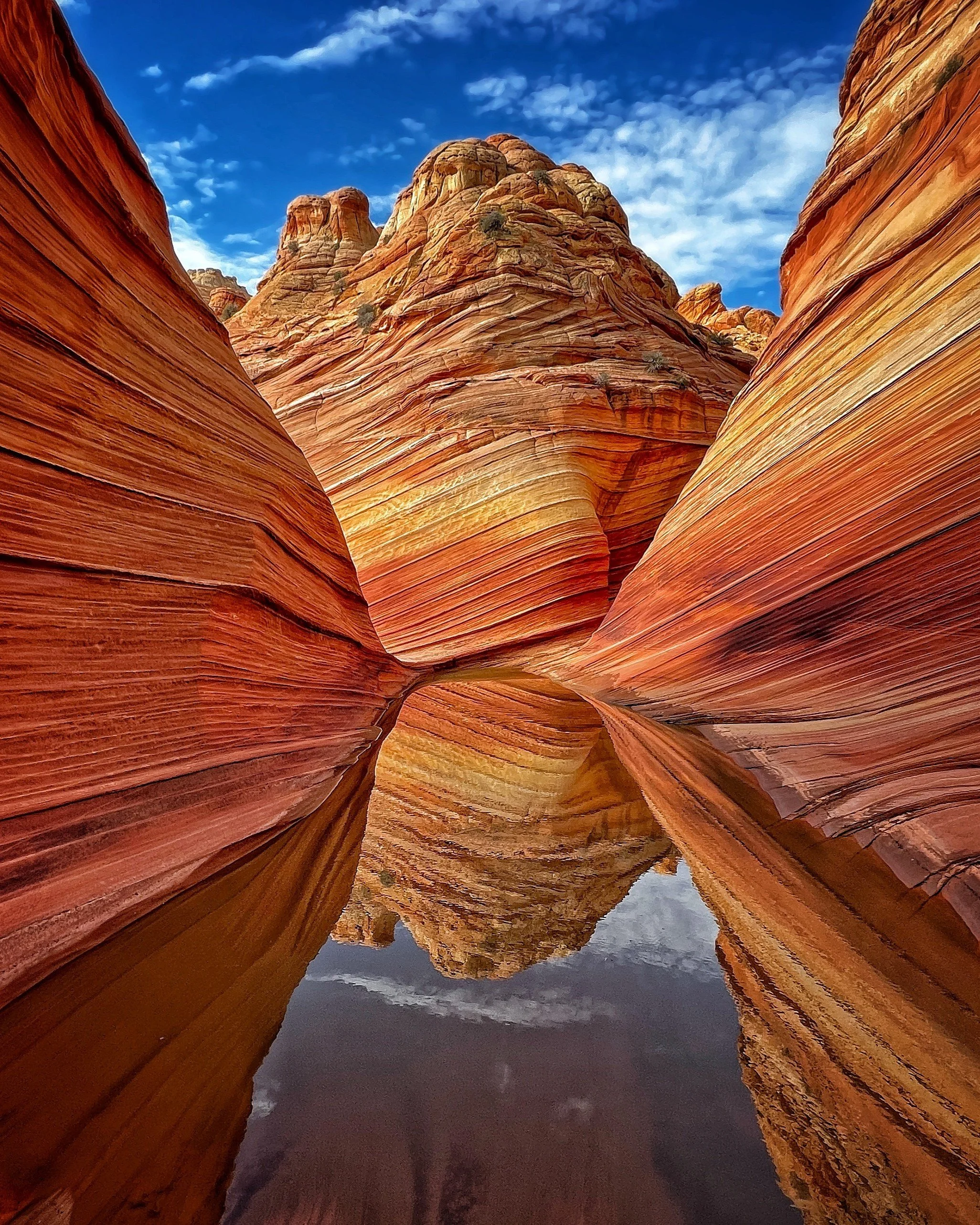 G1- The Wave reflection