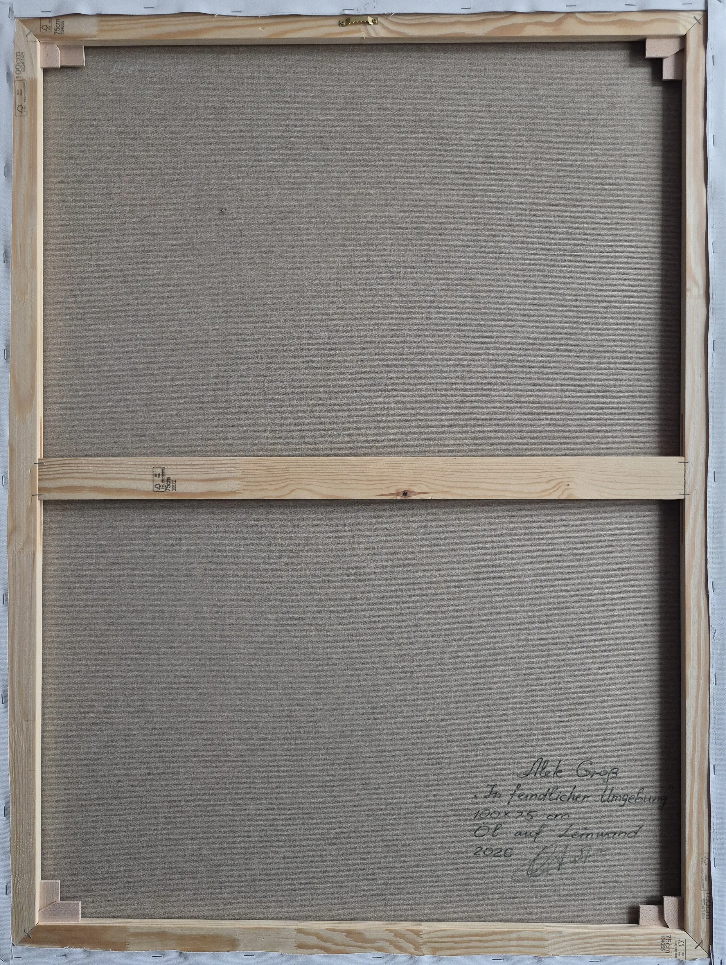 Reverse Side (Verso)
