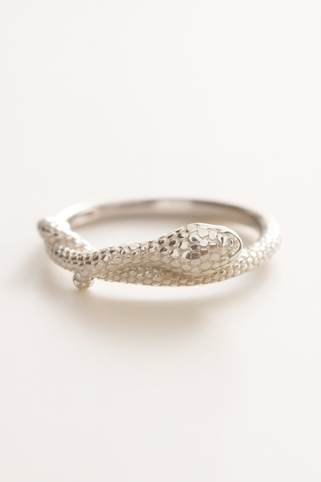 Snake Segmentring