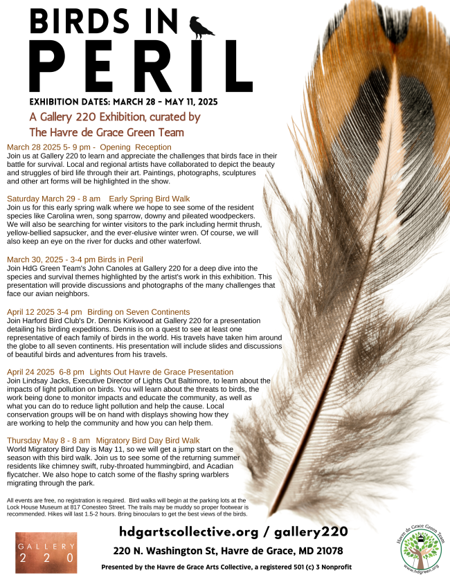 Lights Out Havre De Grace