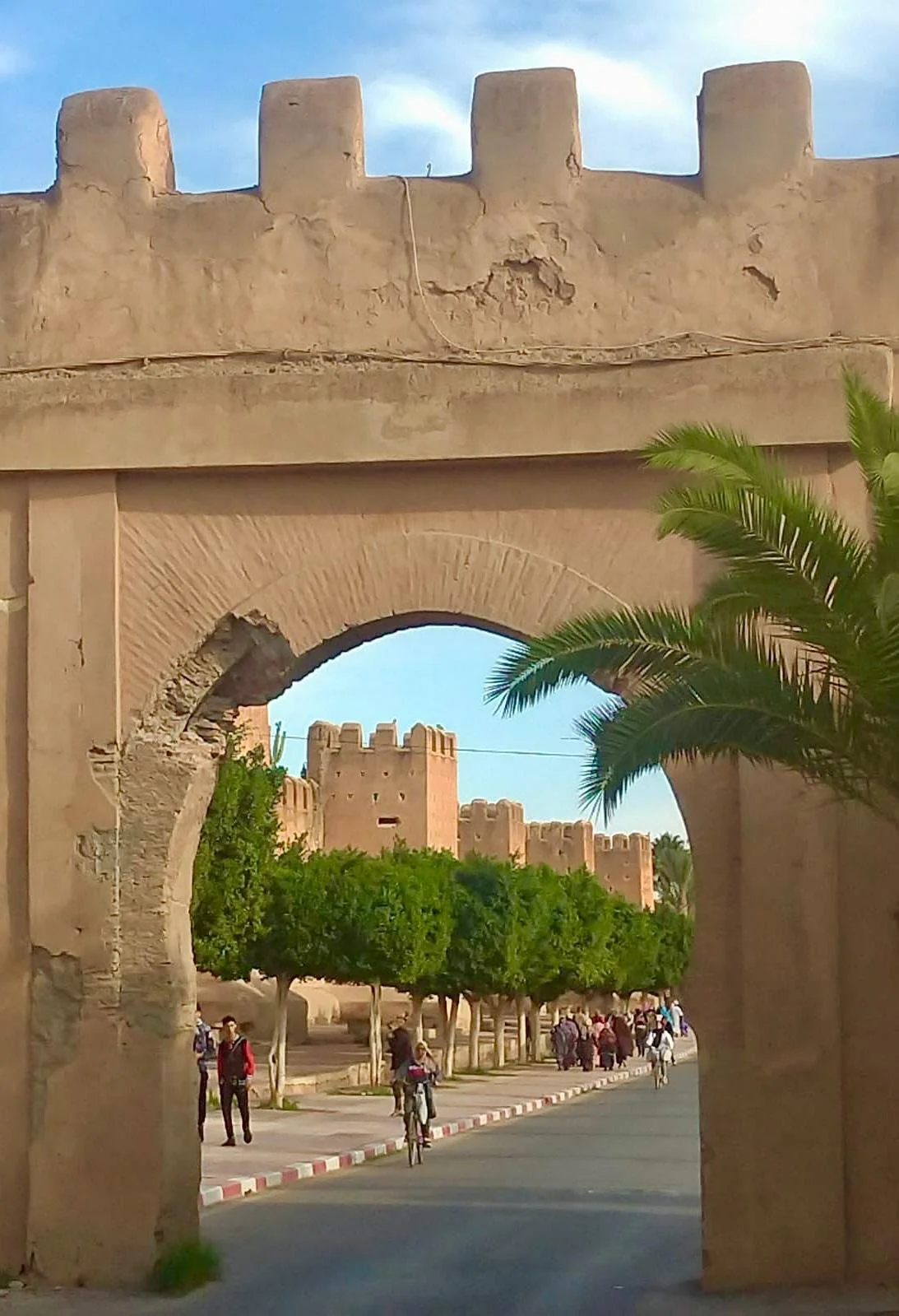 WhatsApp Image 2026-01-30 at 20.44.56 (1).jpeg