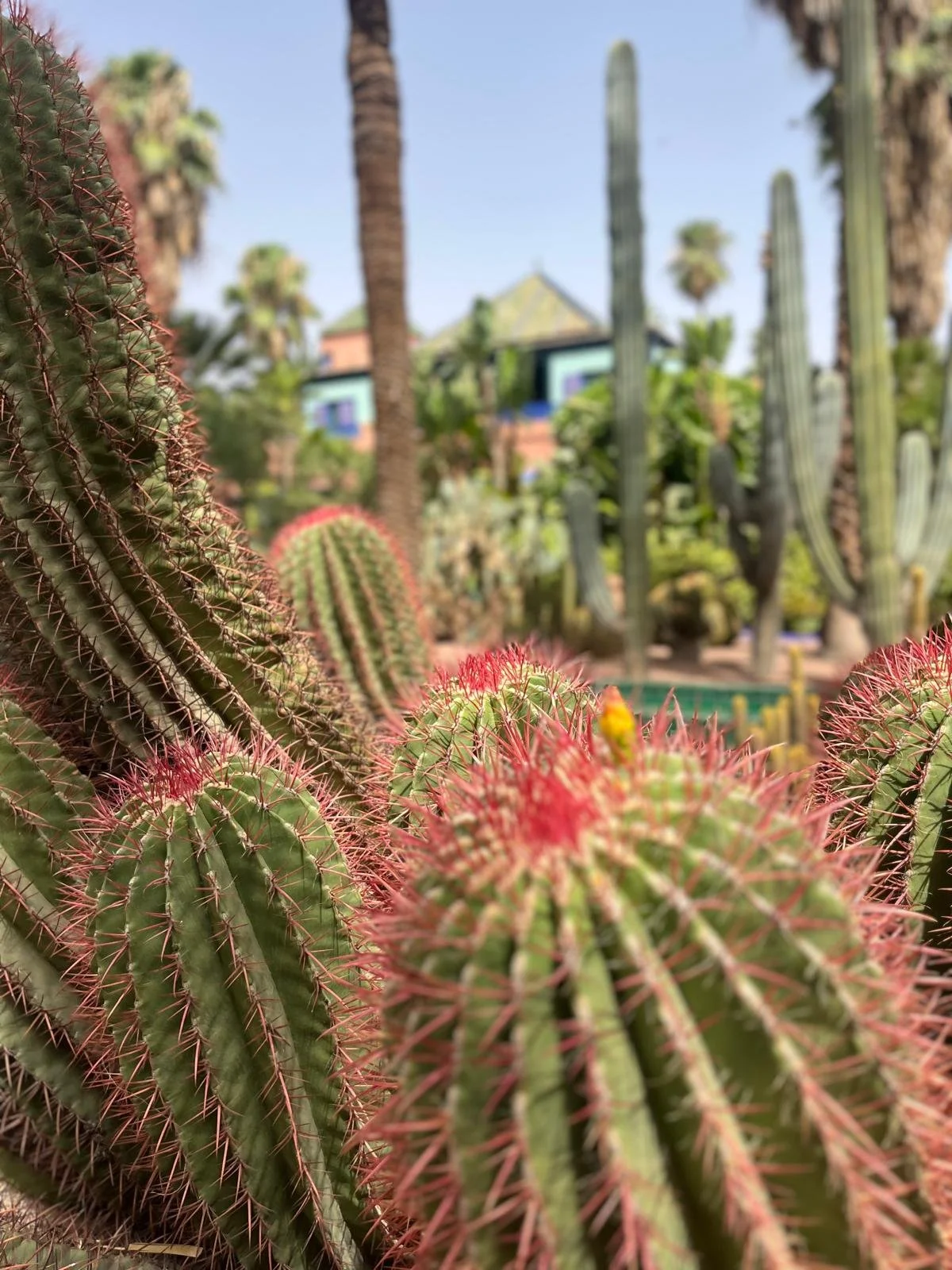 WhatsApp Image 2026-01-30 at 20.28.32 (5).jpeg