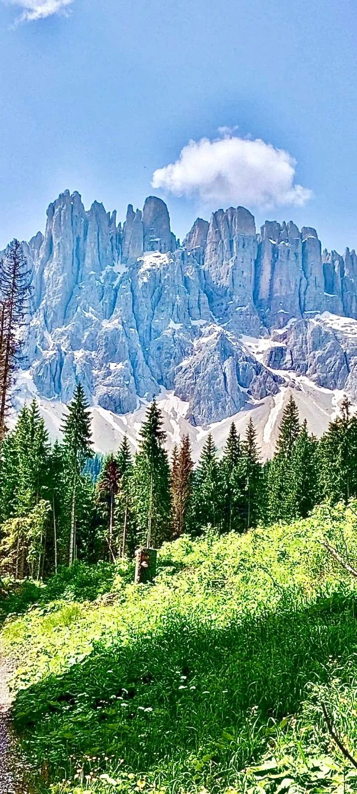 WhatsApp Image 2026-01-31 at 16.30.48 (6).jpeg