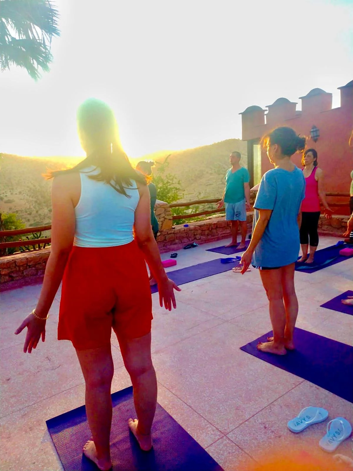 WhatsApp Image 2026-01-31 at 22.36.21.jpeg