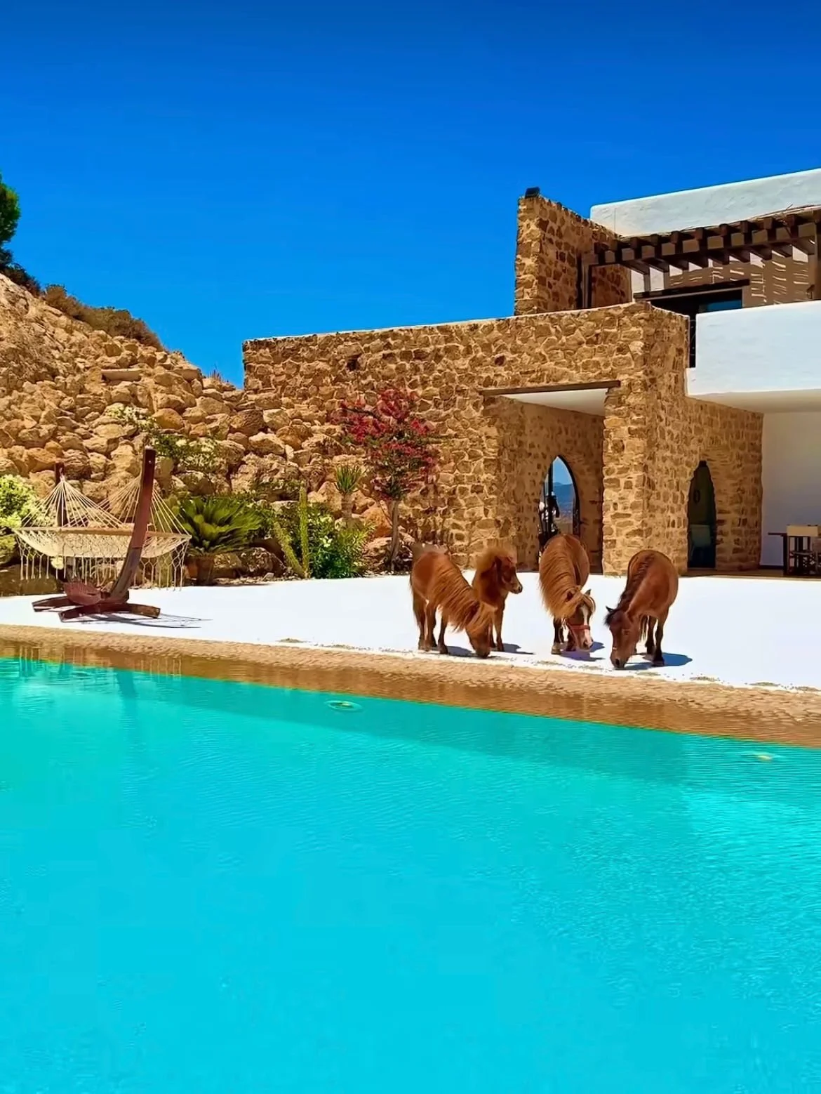 WhatsApp Image 2025-04-27 at 17.24.02.jpeg