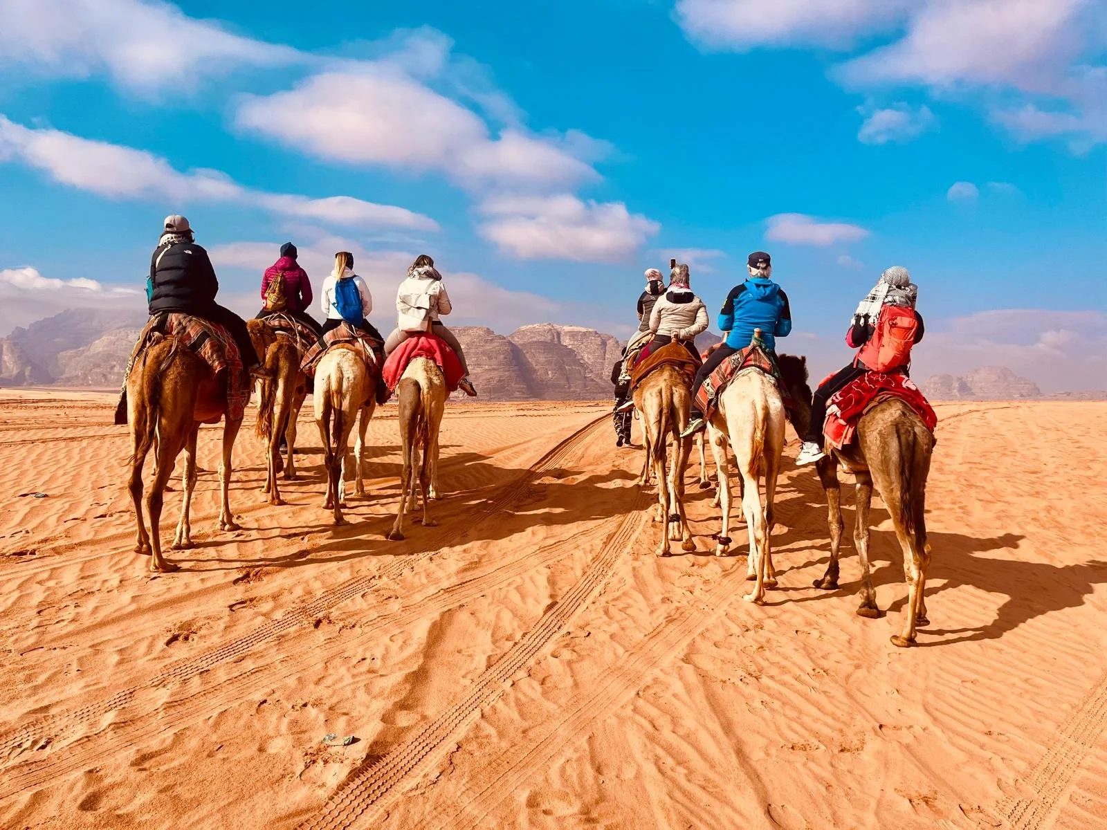 WhatsApp Image 2026-01-26 at 16.51.03 (2).jpeg