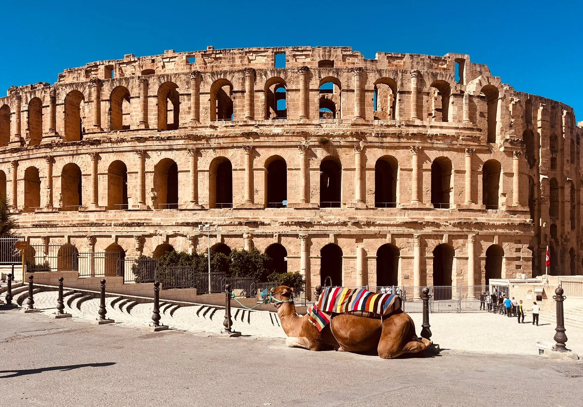 WhatsApp Image 2026-01-30 at 13.10.11 (5).jpeg