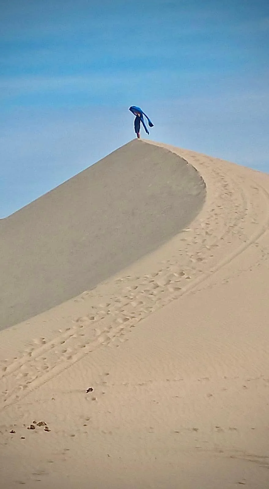 WhatsApp Image 2026-01-30 at 20.44.56.jpeg