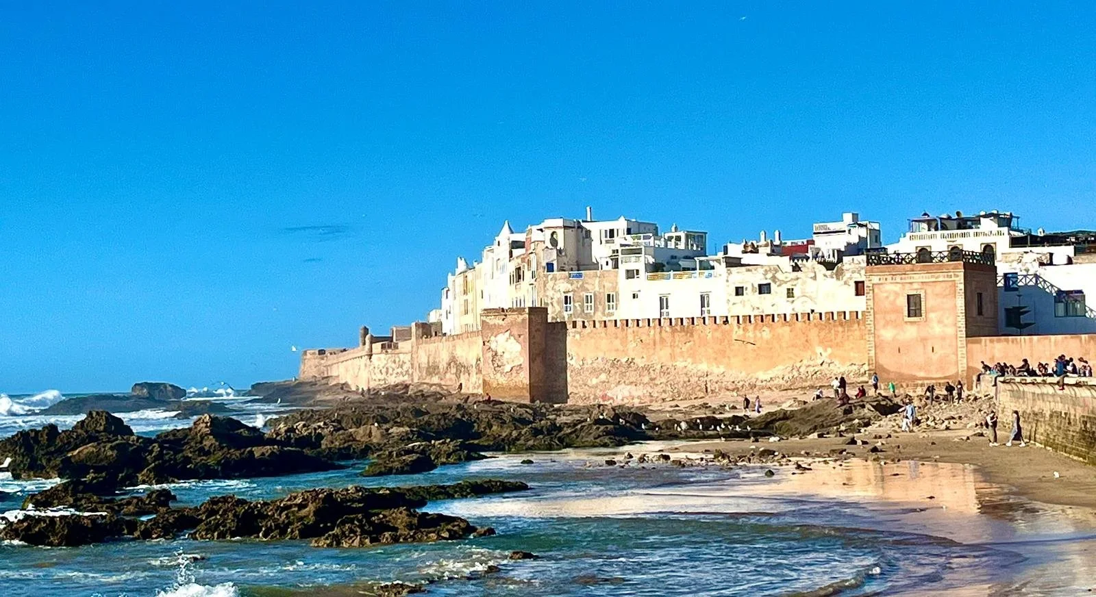 WhatsApp Image 2026-01-30 at 20.11.11 (4).jpeg