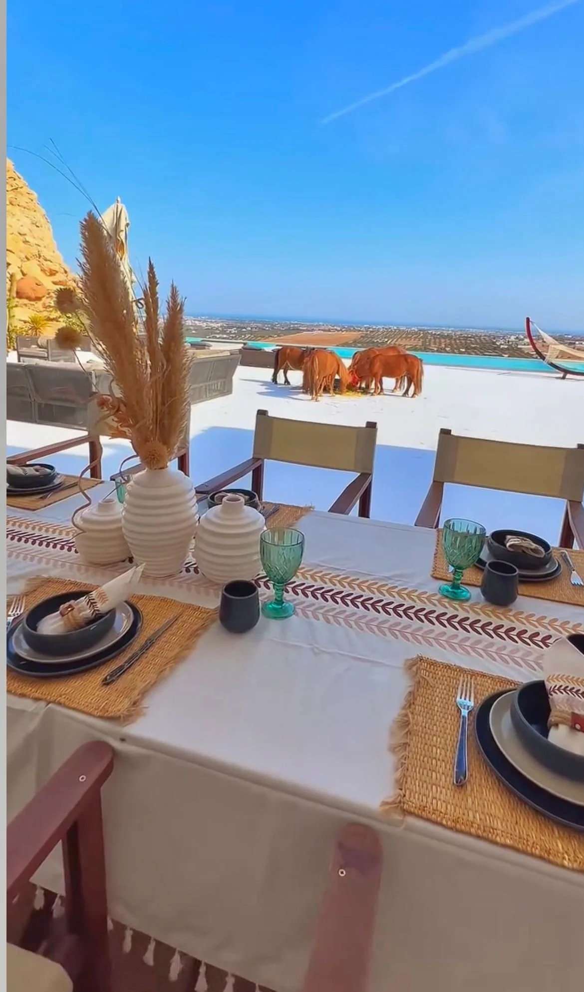 WhatsApp Image 2025-04-27 at 17.24.01.jpeg