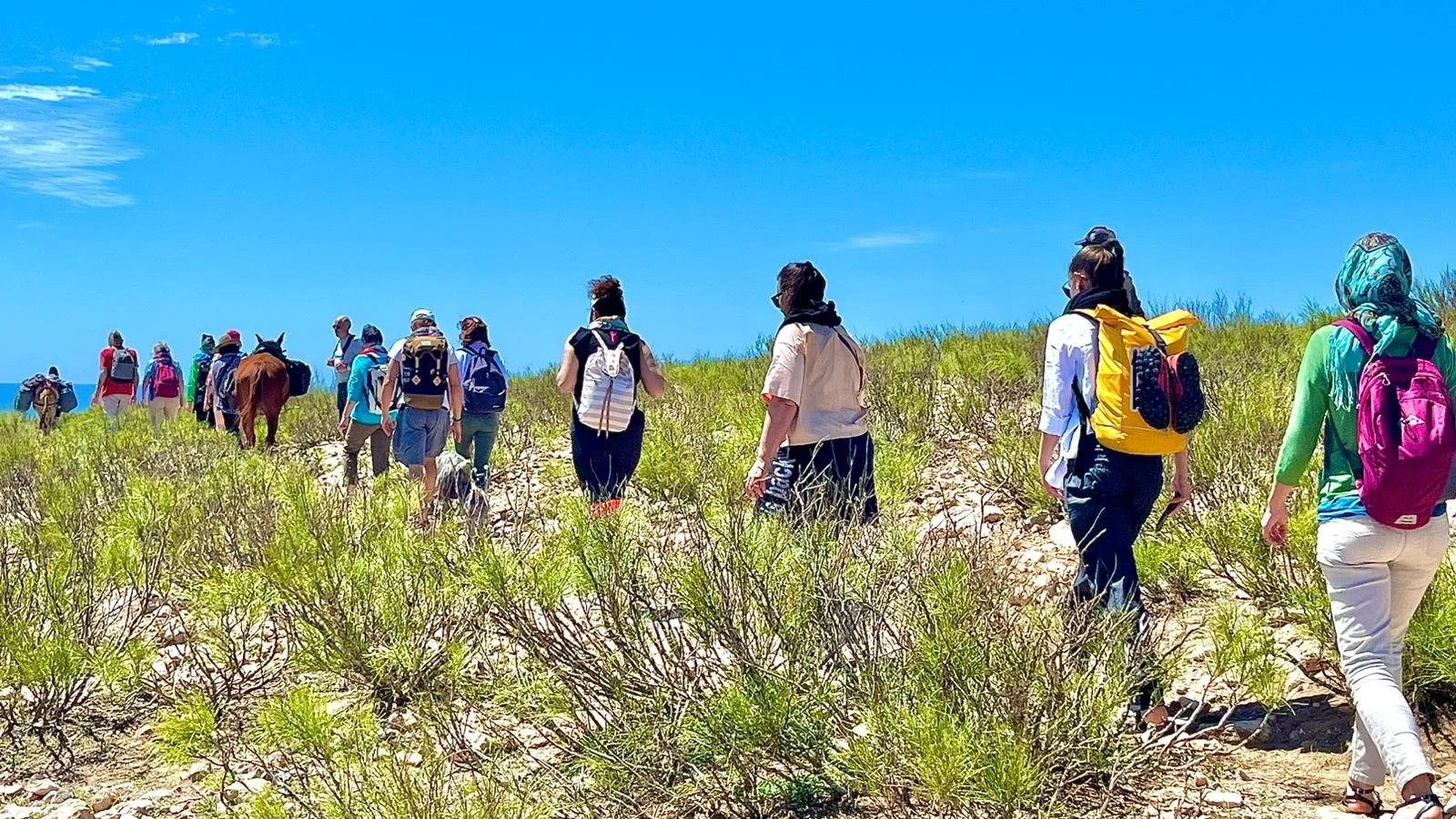 WhatsApp Image 2026-01-30 at 20.11.12 (1).jpeg