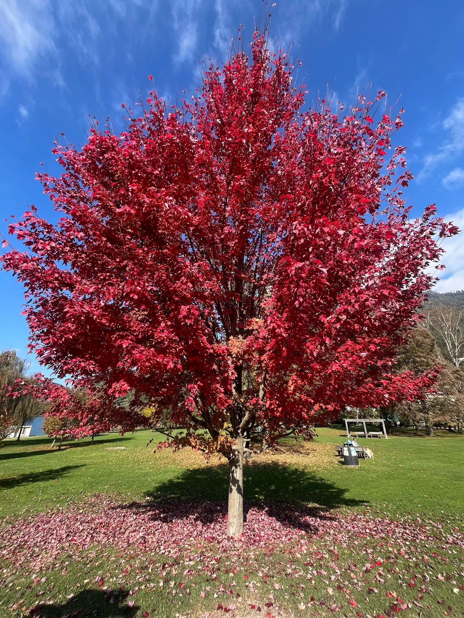 WhatsApp Image 2026-01-30 at 21.26.10.jpeg