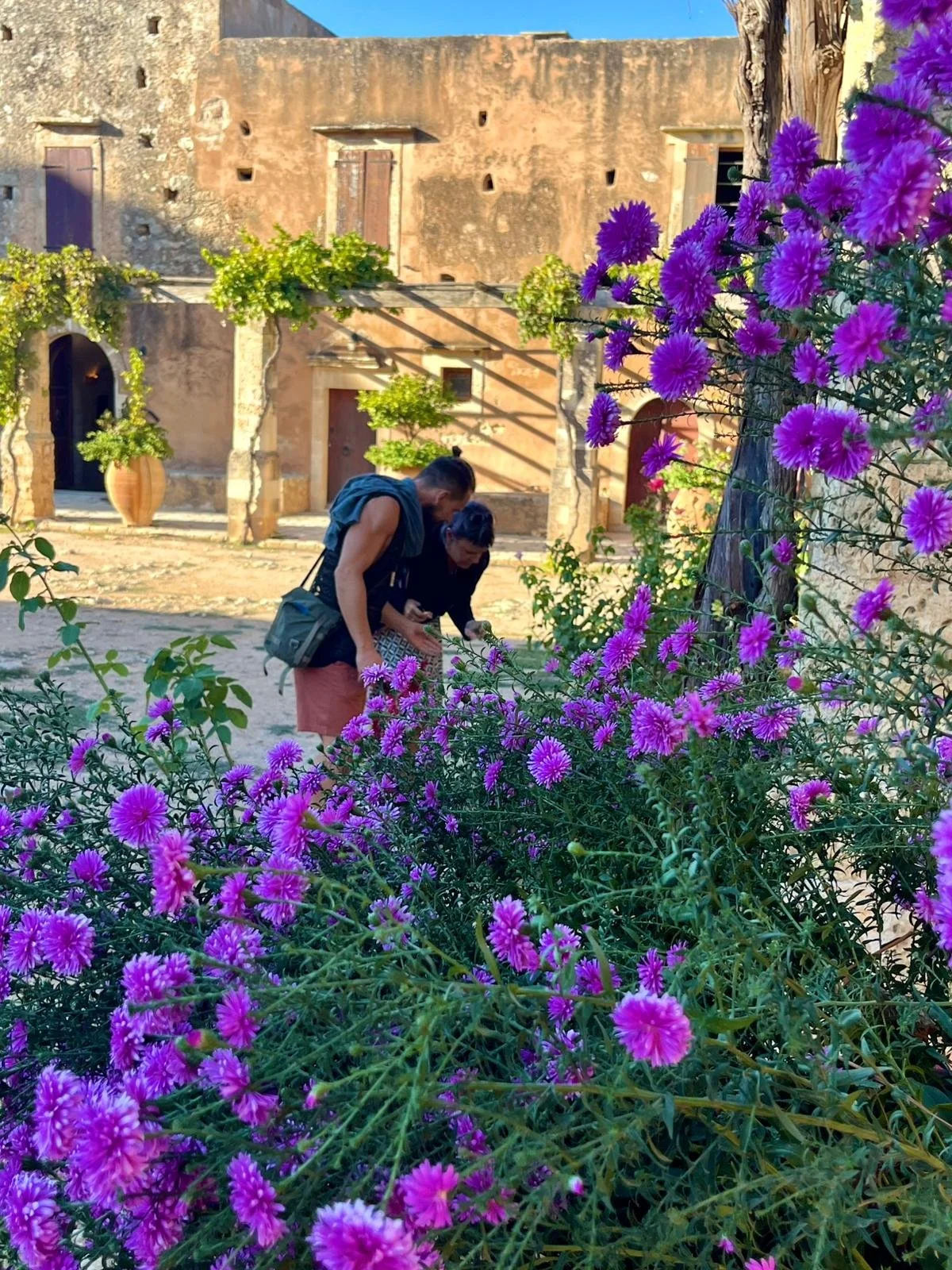 WhatsApp Image 2026-01-30 at 14.46.15 (6).jpeg