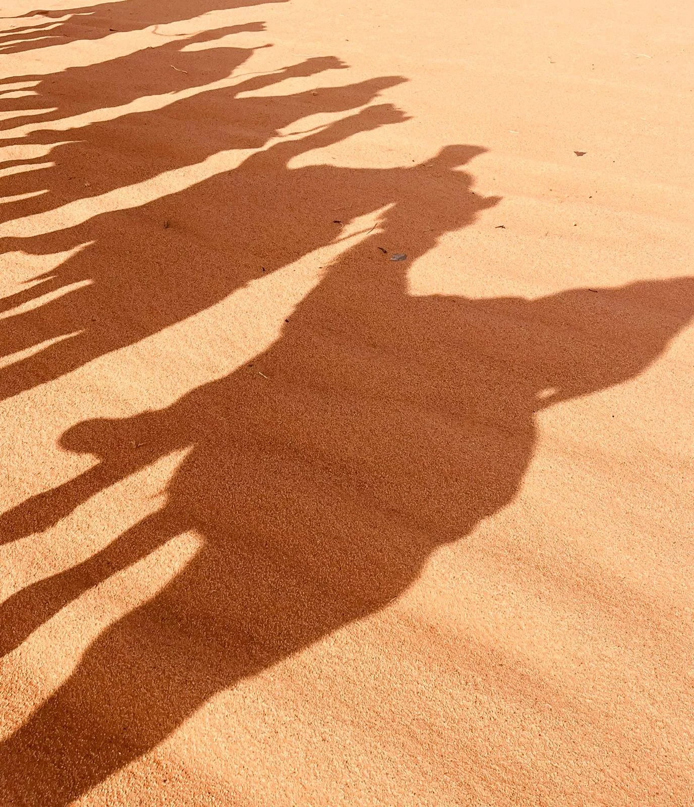 WhatsApp Image 2026-01-28 at 18.19.36 (2).jpeg