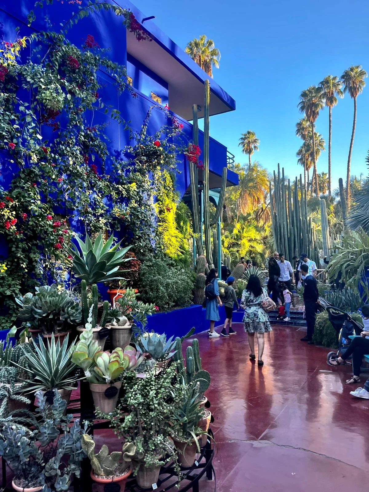 WhatsApp Image 2026-01-30 at 20.11.08.jpeg