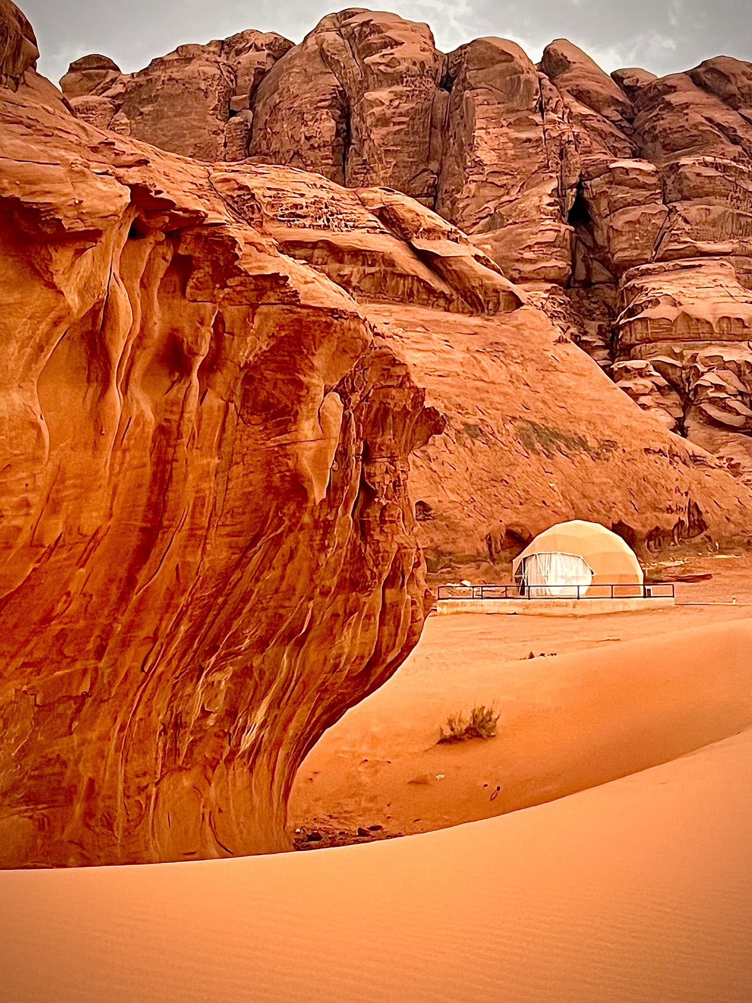 WhatsApp Image 2026-01-28 at 18.19.33.jpeg