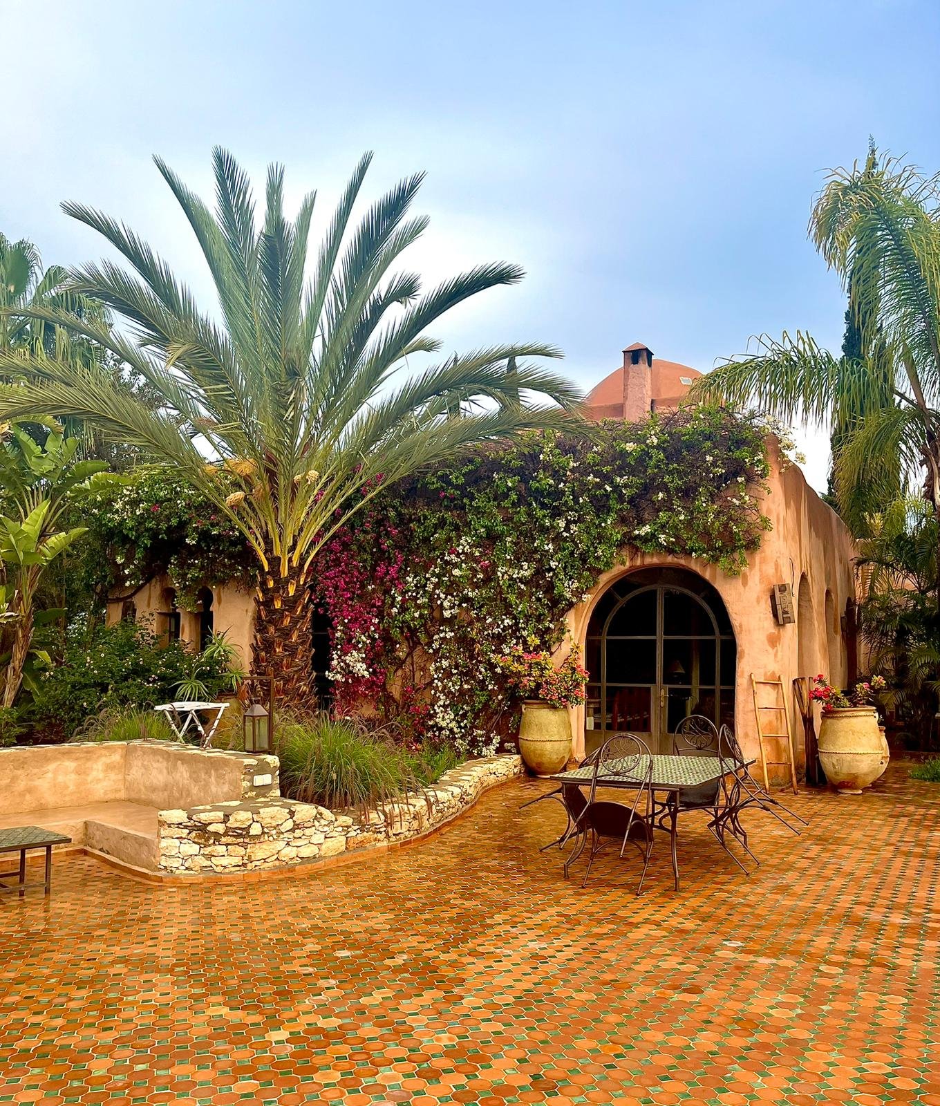 WhatsApp Image 2026-01-30 at 20.11.11.jpeg