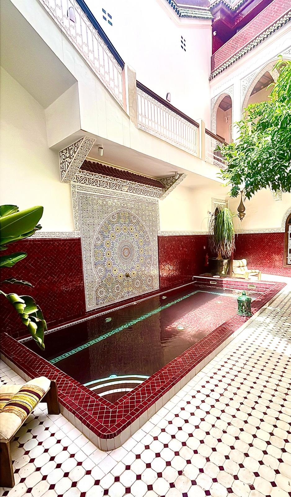 WhatsApp Image 2026-01-30 at 20.28.32.jpeg