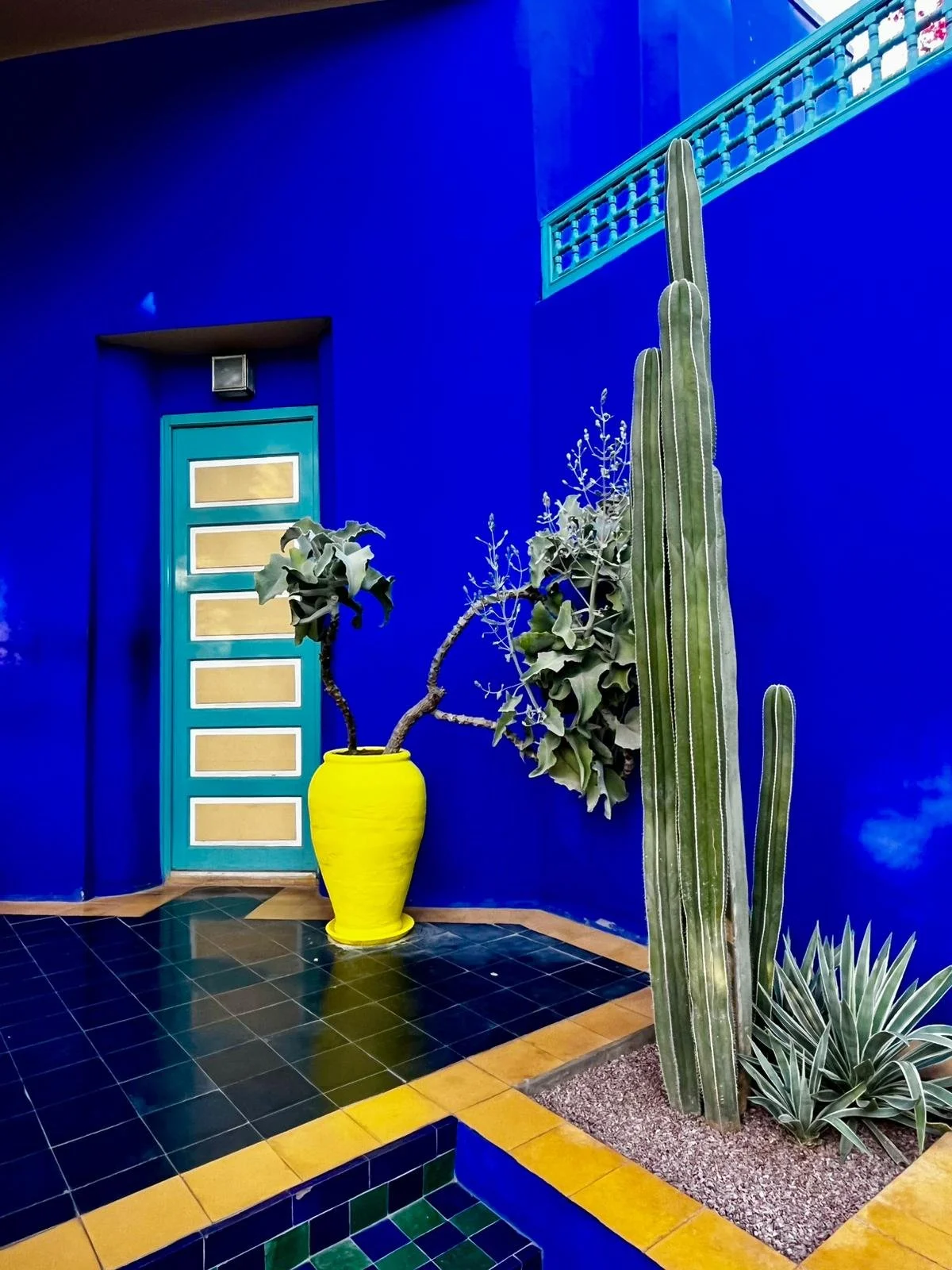 WhatsApp Image 2026-01-30 at 20.11.09.jpeg