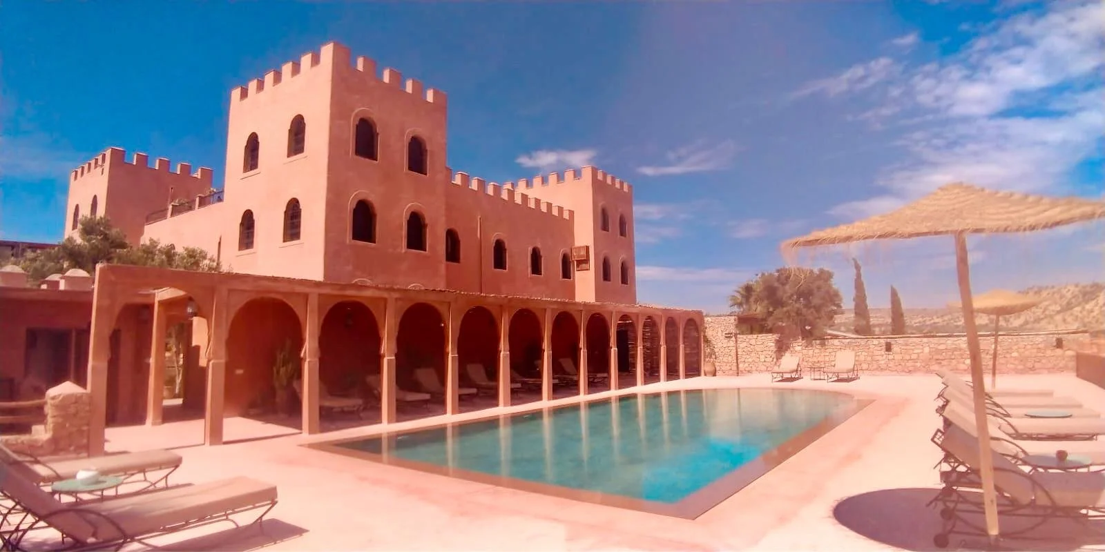 WhatsApp Image 2026-01-31 at 22.36.20.jpeg