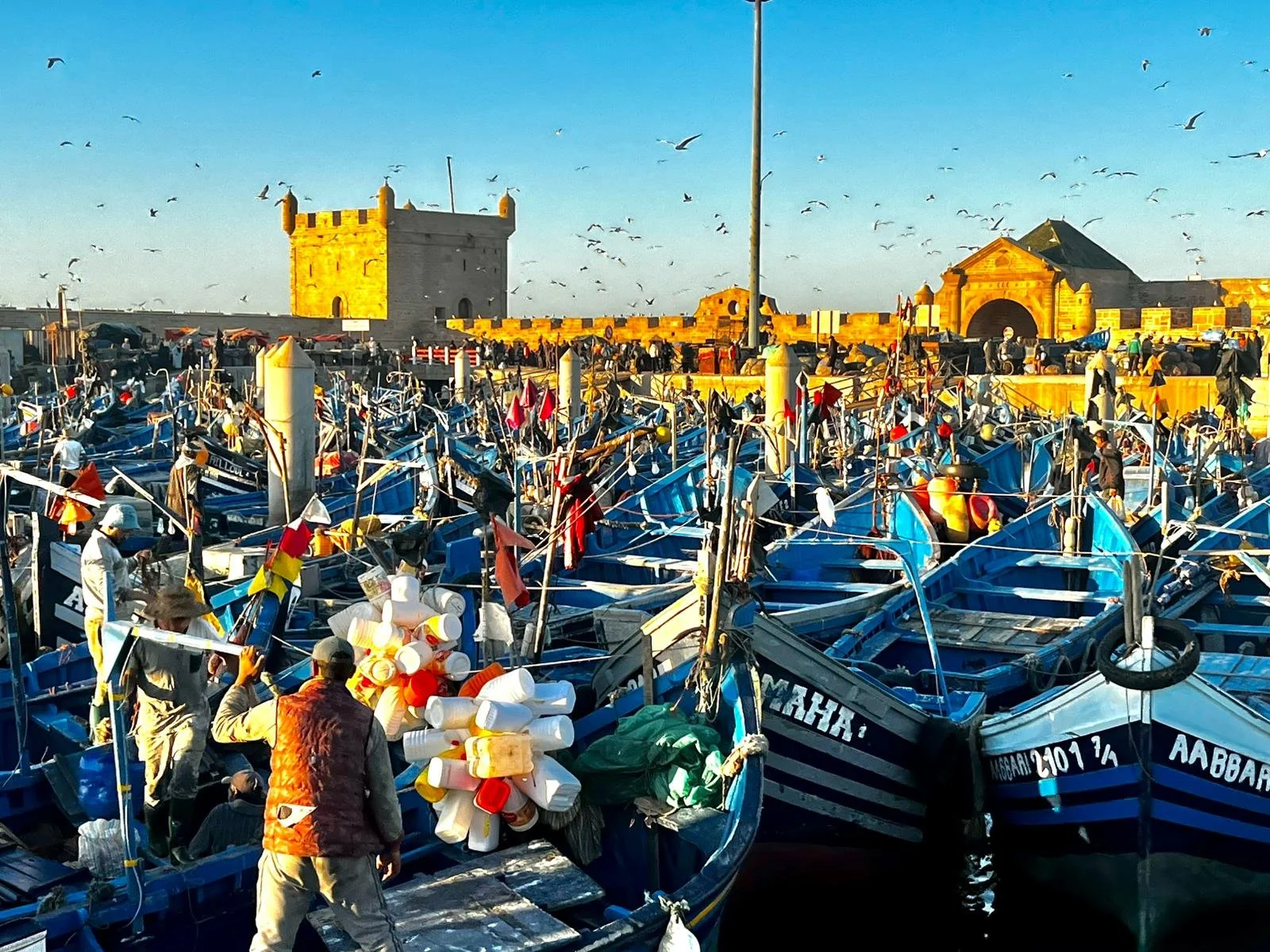 WhatsApp Image 2026-01-30 at 20.11.09 (1).jpeg