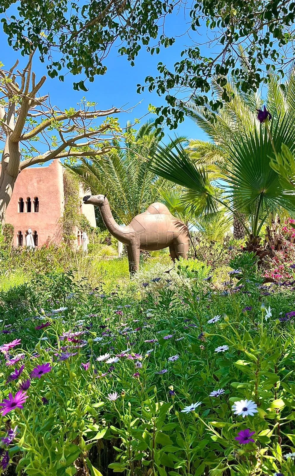 WhatsApp Image 2026-01-30 at 20.11.13.jpeg