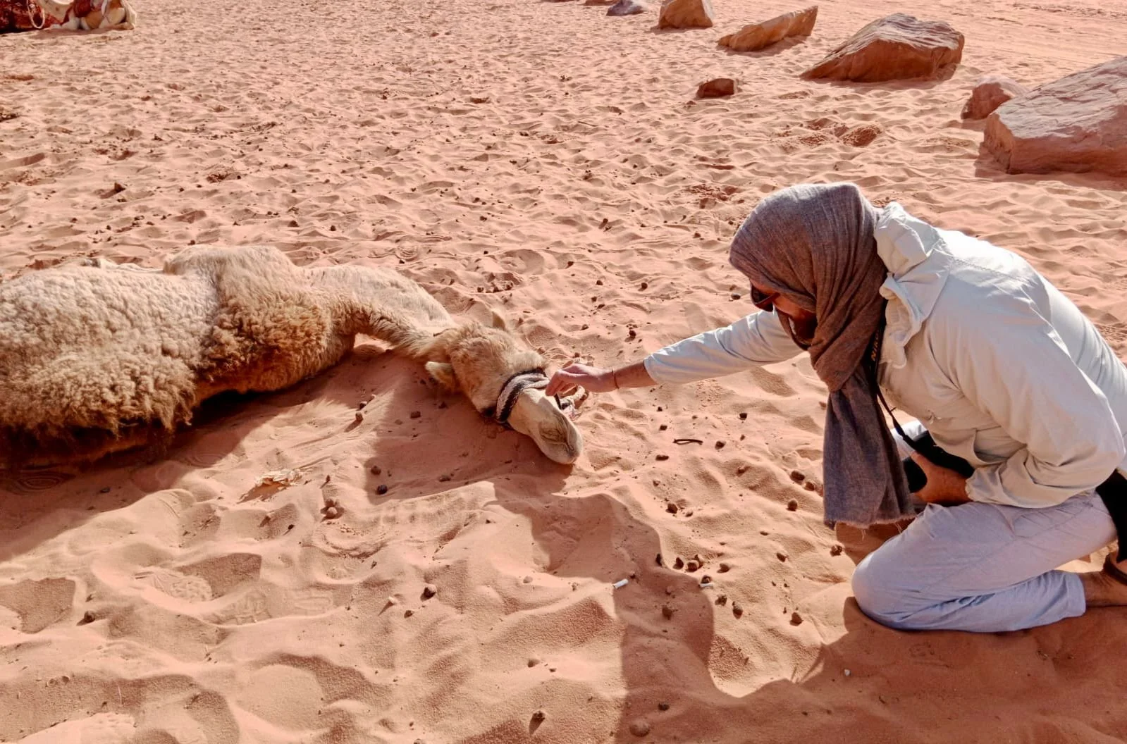 WhatsApp Image 2026-01-28 at 18.19.34 (2).jpeg