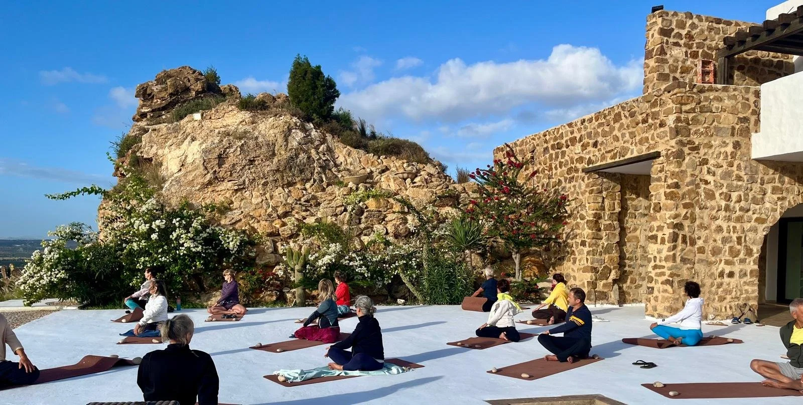 WhatsApp Image 2026-02-01 at 10.56.44.jpeg