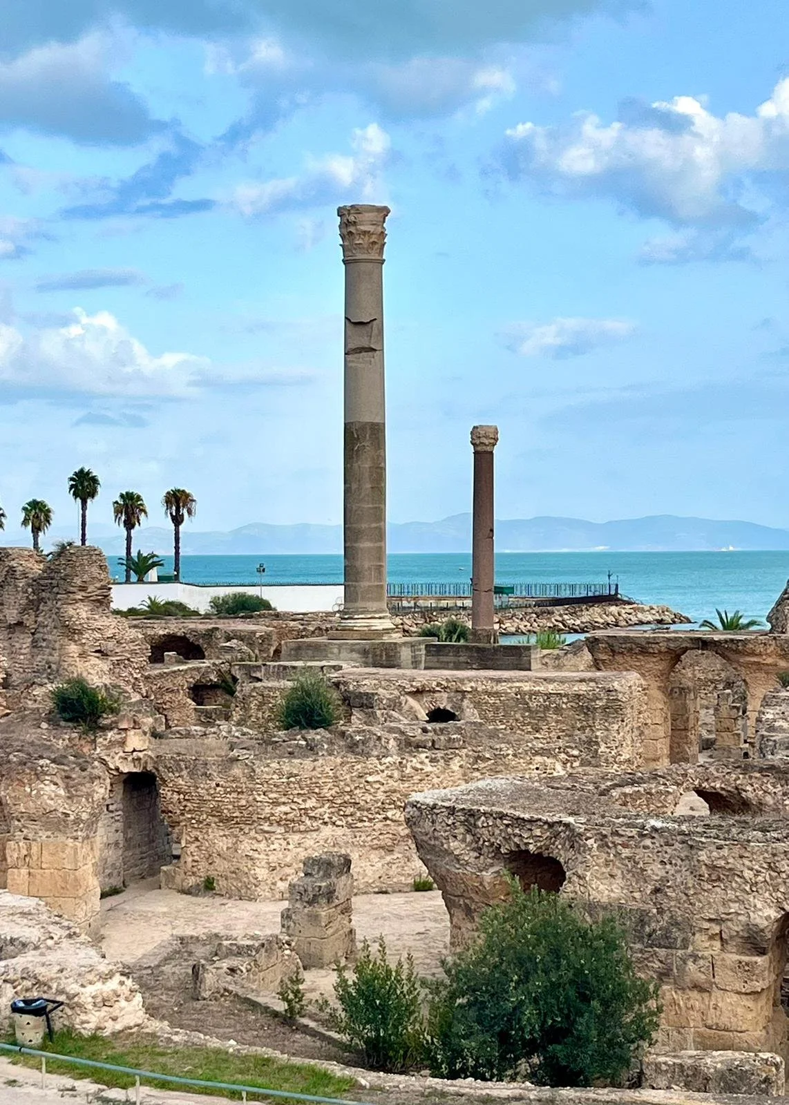 WhatsApp Image 2026-01-30 at 13.47.06 (1).jpeg