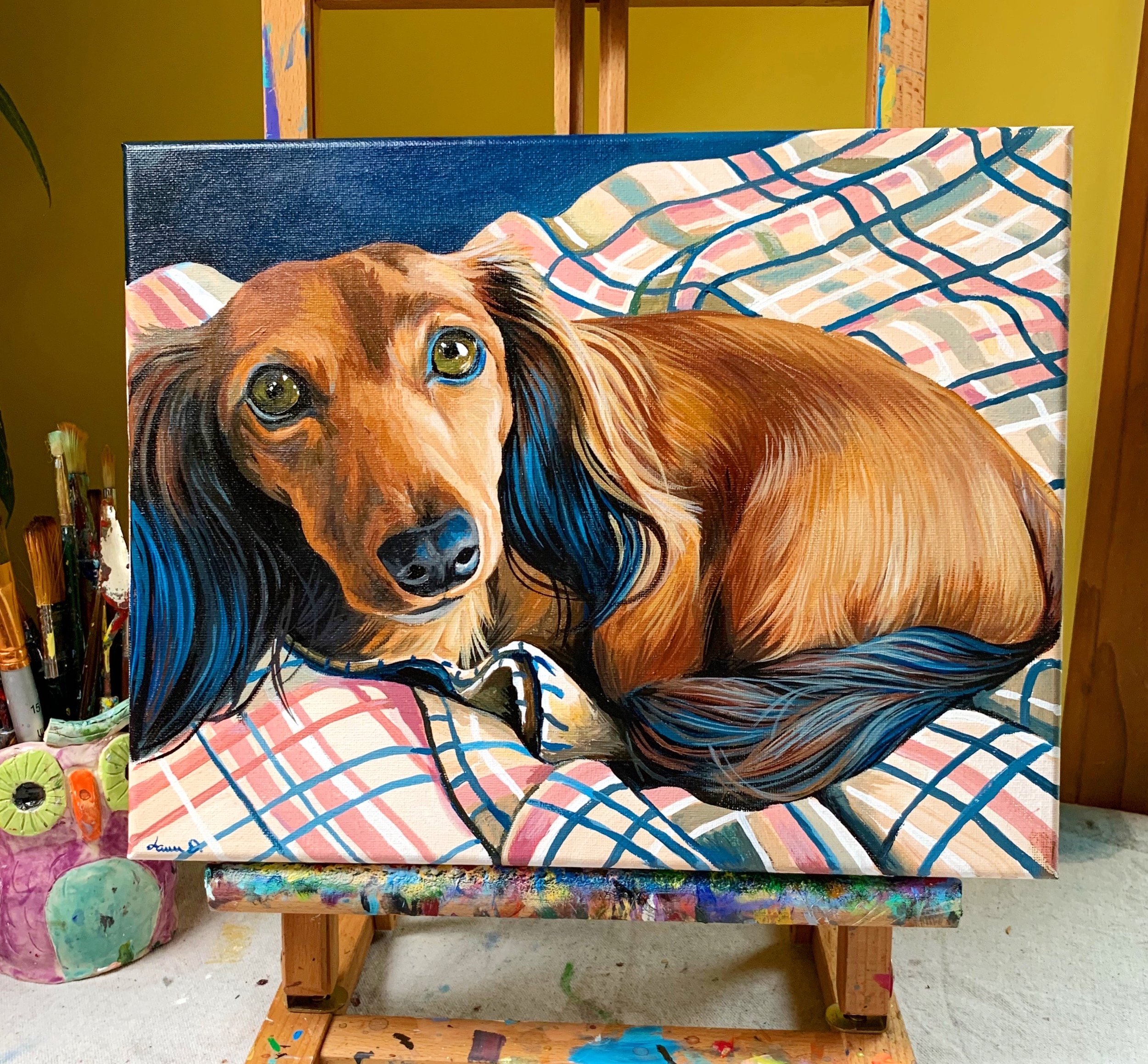 Trixie Long Haired Doxie on Blanket.