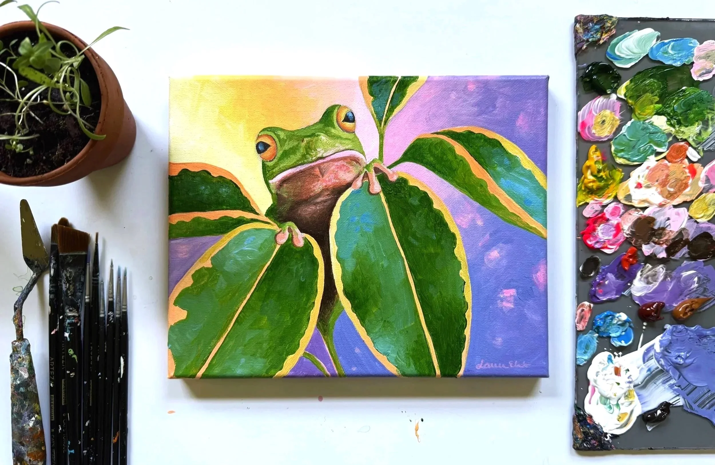 Magical Frog Tutorial to Boost Creativity.
