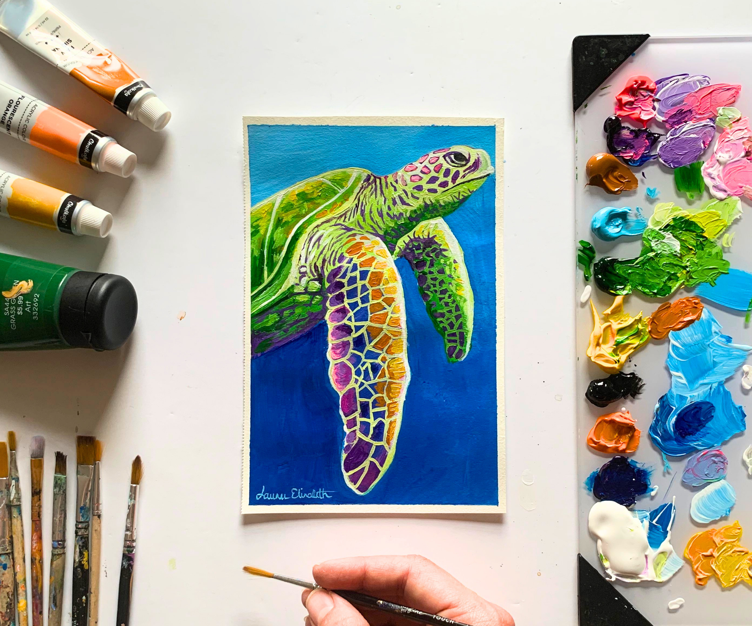 Sea Turtle to Boost Creativity