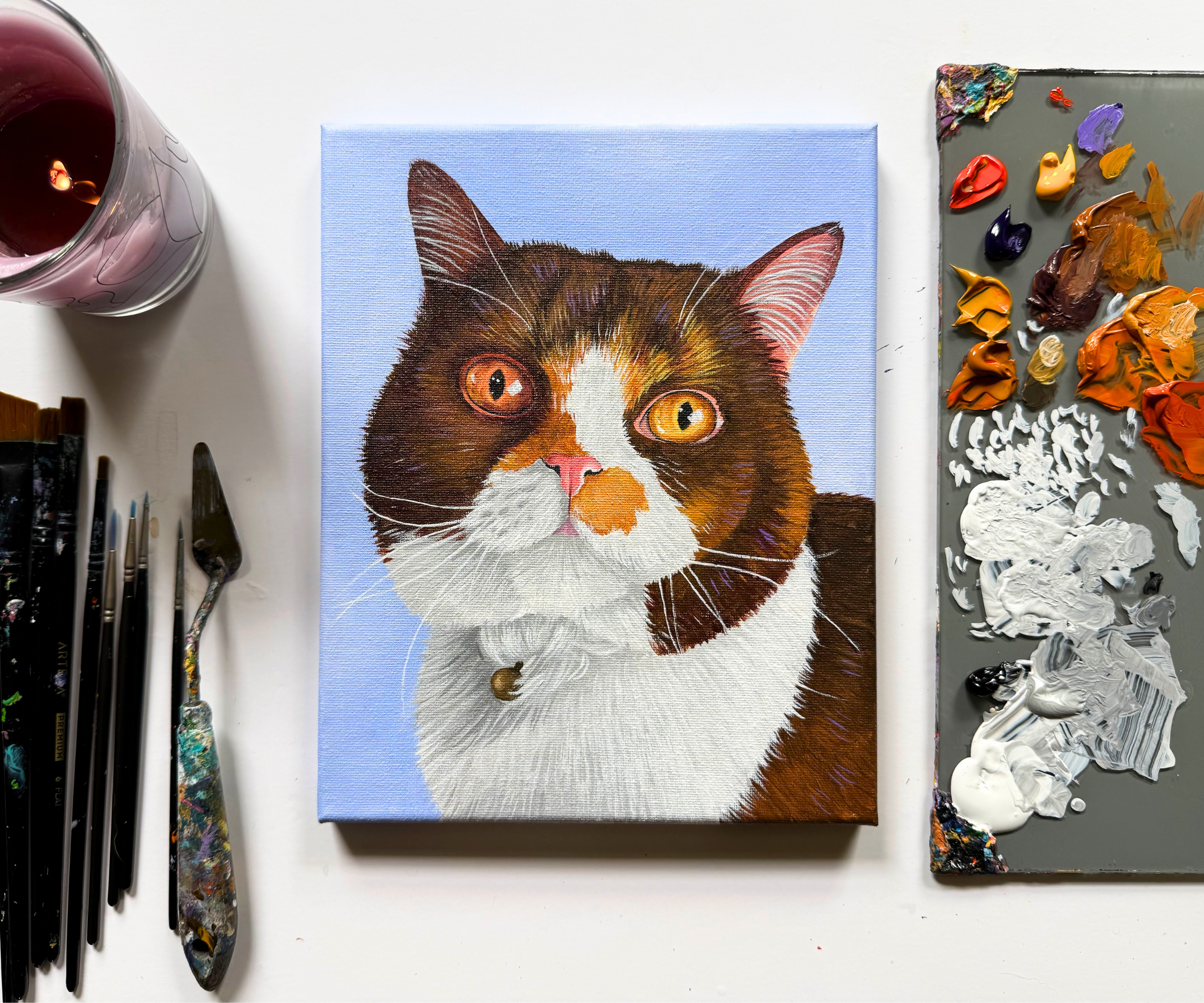 Calico Persian Cat for Big Life Changes.